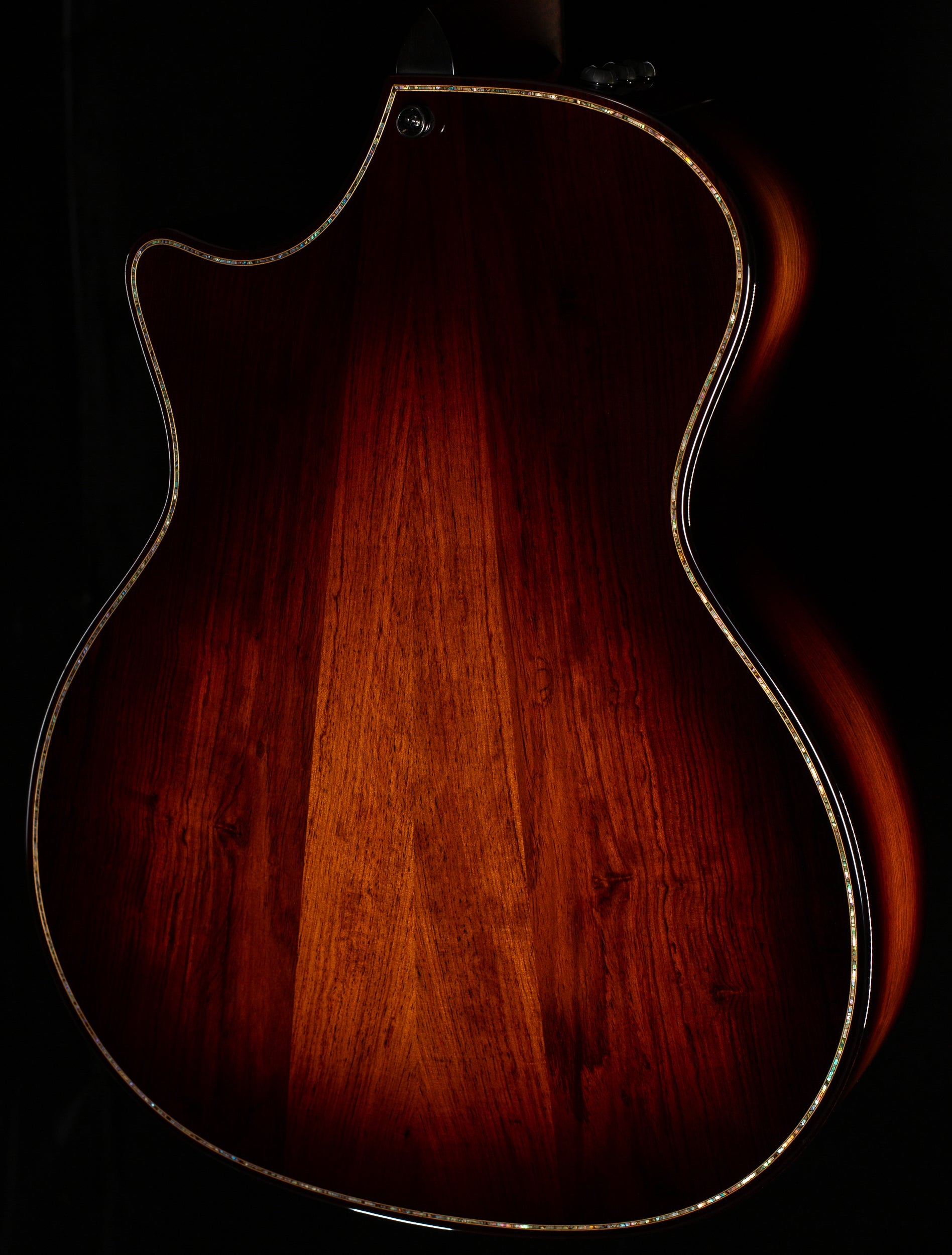 Taylor Builder's Edition 914ce Honduran Rosewood/Sinker Redwood (027)