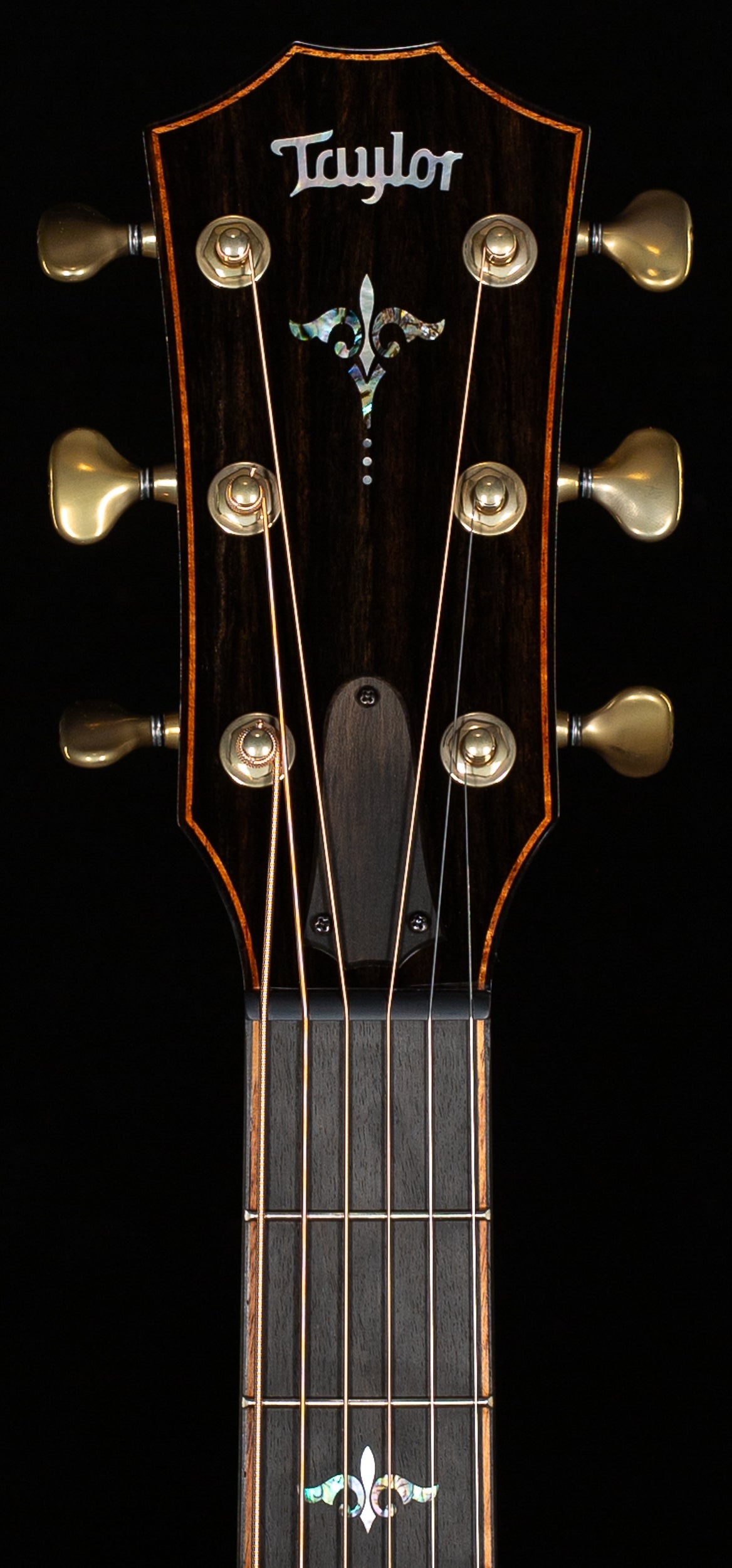 Taylor Builder's Edition 914ce Honduran Rosewood/Sinker Redwood (027)
