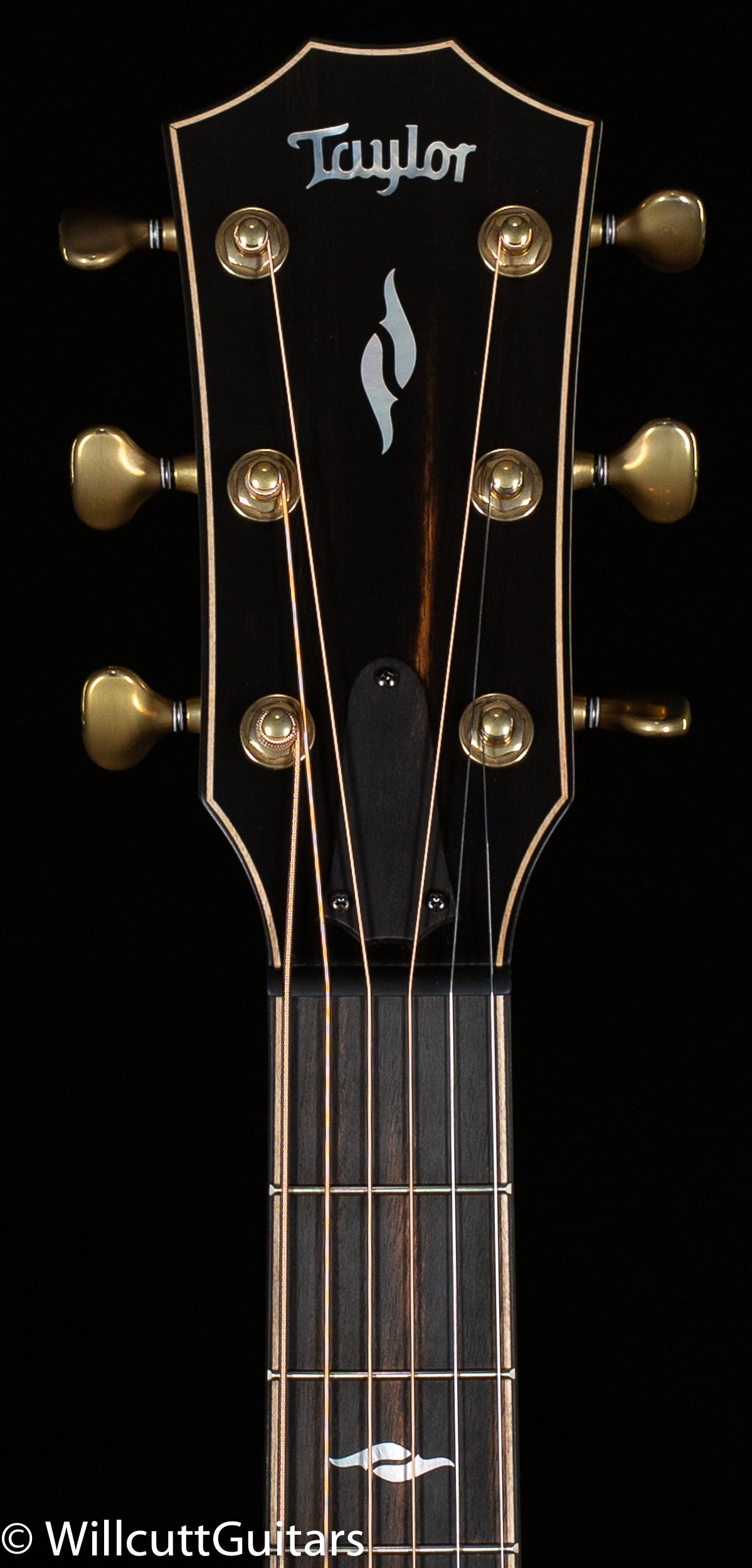 Taylor Builder's Edition 814ce Rosewood/Adirondack (124)