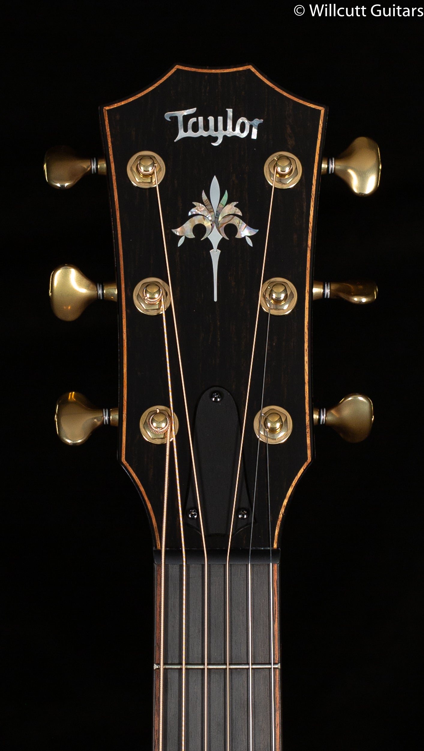Taylor 914ce Tobacco Sunburst