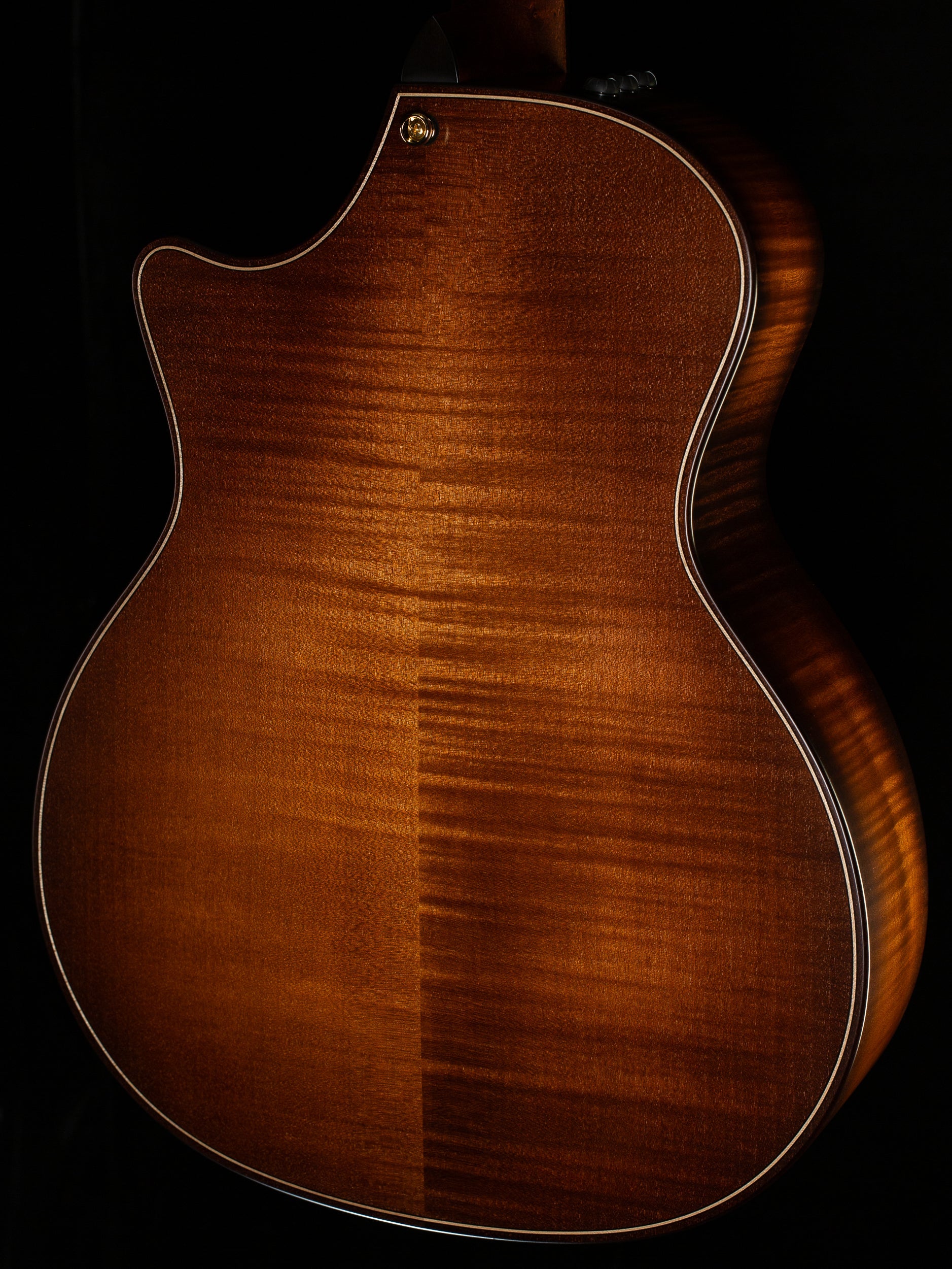 Taylor Builder's Edition 614ce Wild Honey Burst (121)