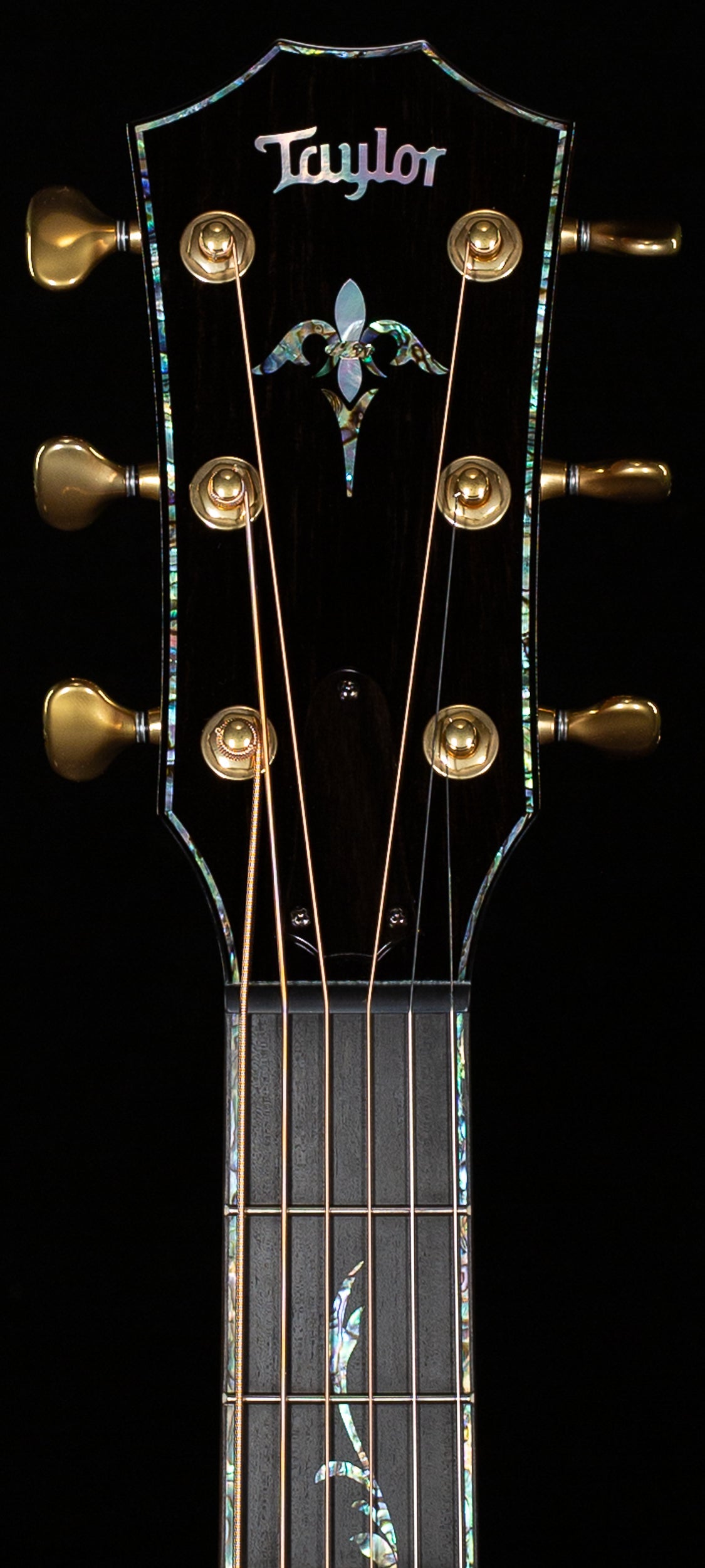 2025 Taylor Presentation Series Grand Auditorium PS14ce Honduran Rosewood/Sinker Redwood, V-Class Bracing (077)