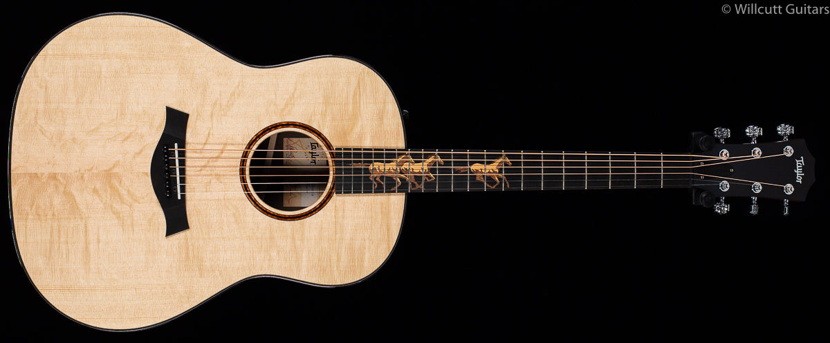 Taylor Custom ZIRICOTE w/Lutz Spruce Top Grand Pacific (NAMM Catch #34)