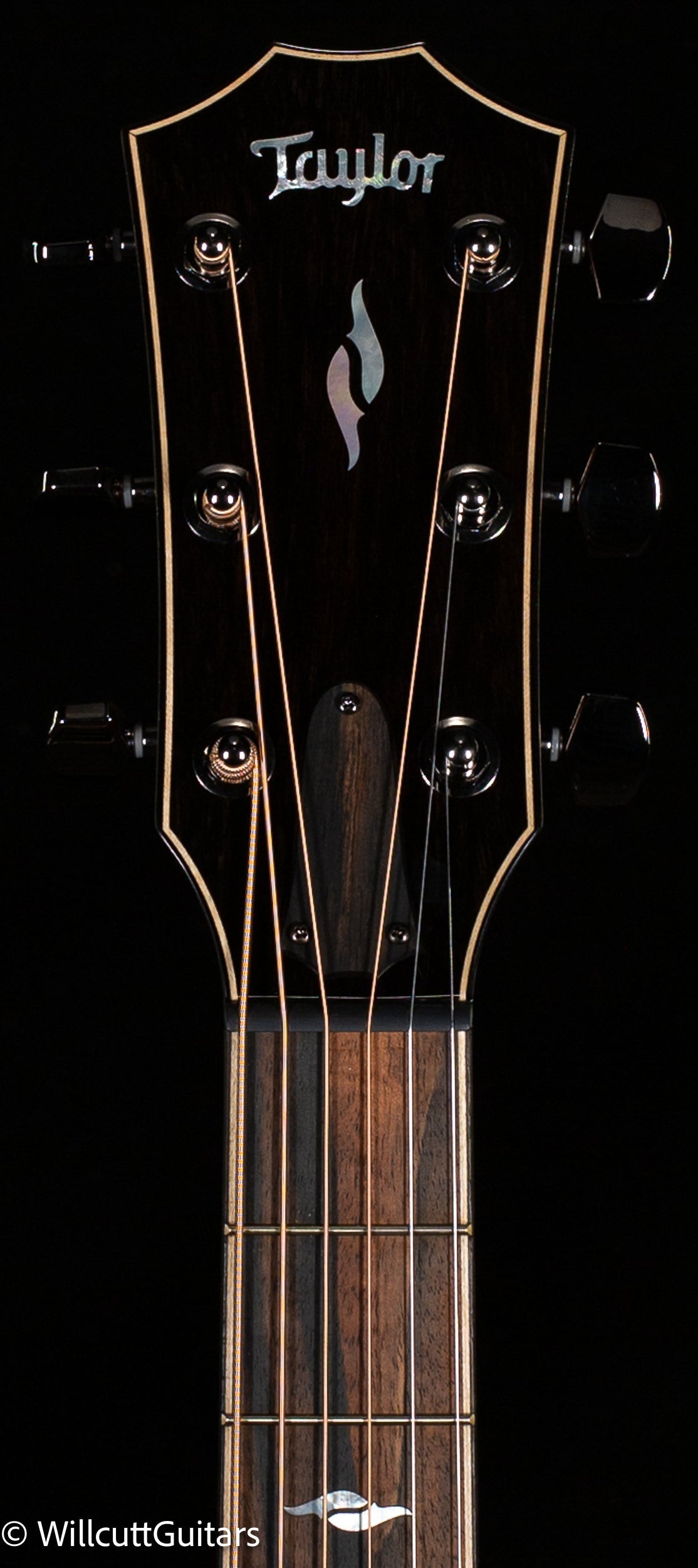 Taylor 814ce Special Edition Blacktop (069)