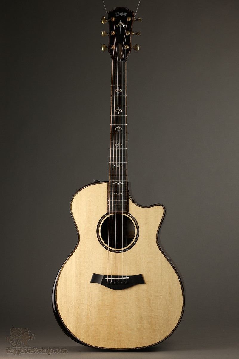 2022 Taylor 914ce Steel String Acoustic Guitar Used