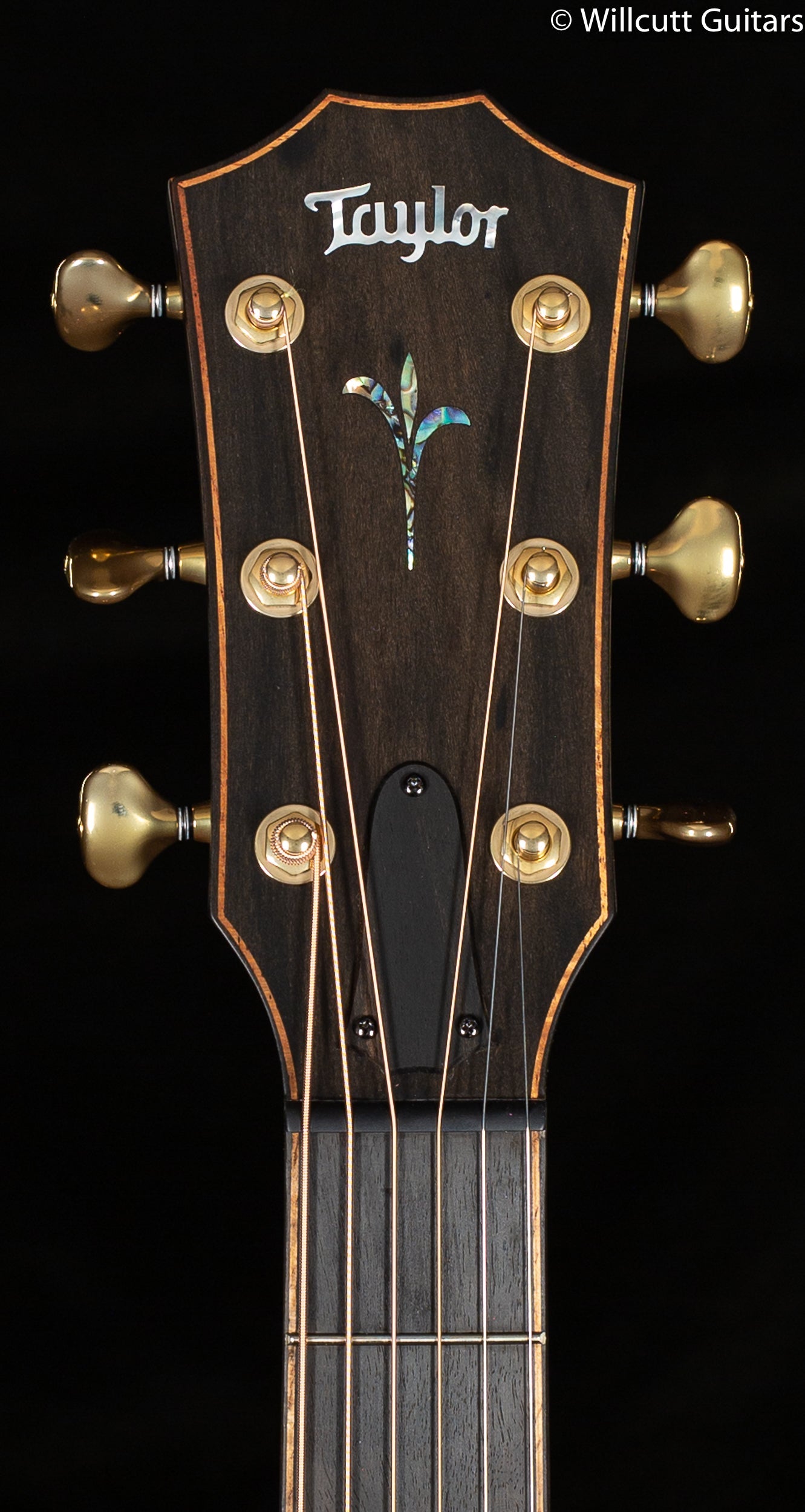 Taylor Builder's Edition K24ce (092)