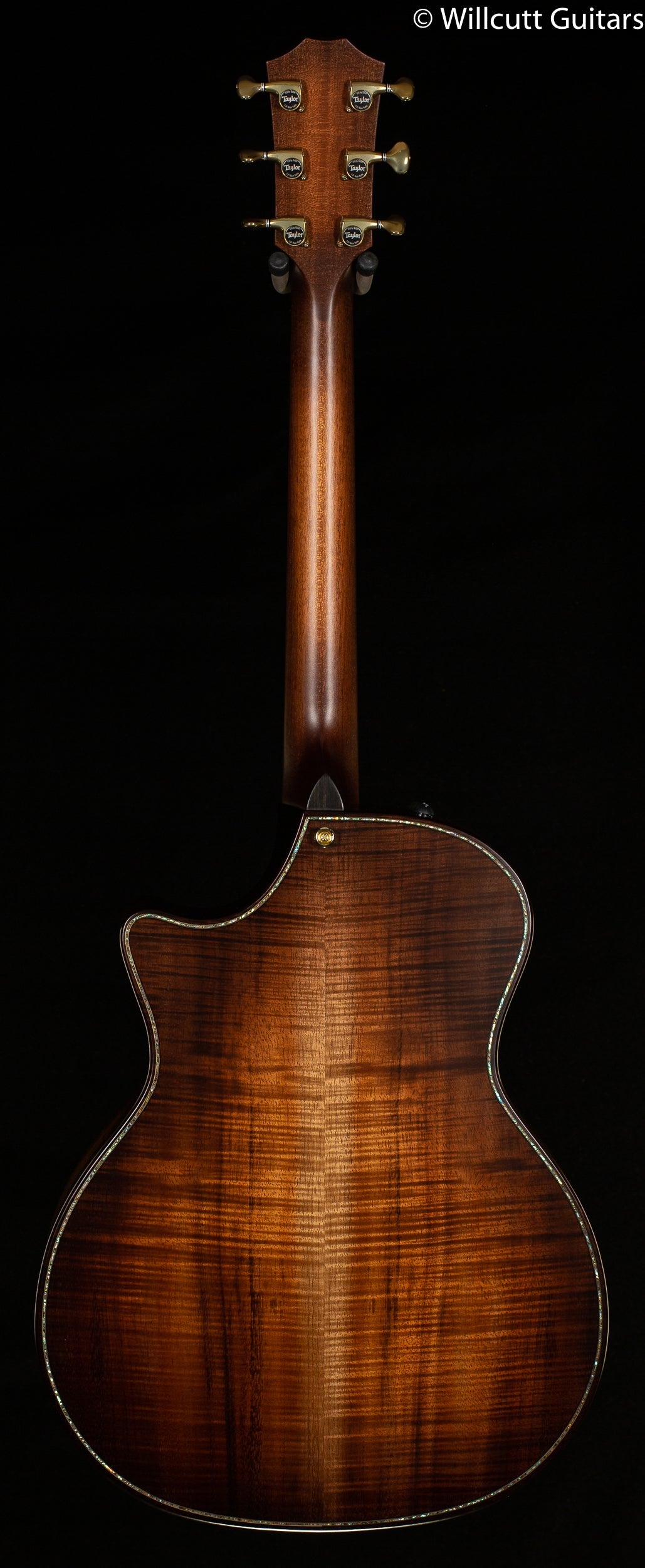 Taylor Builder's Edition K24ce (104)