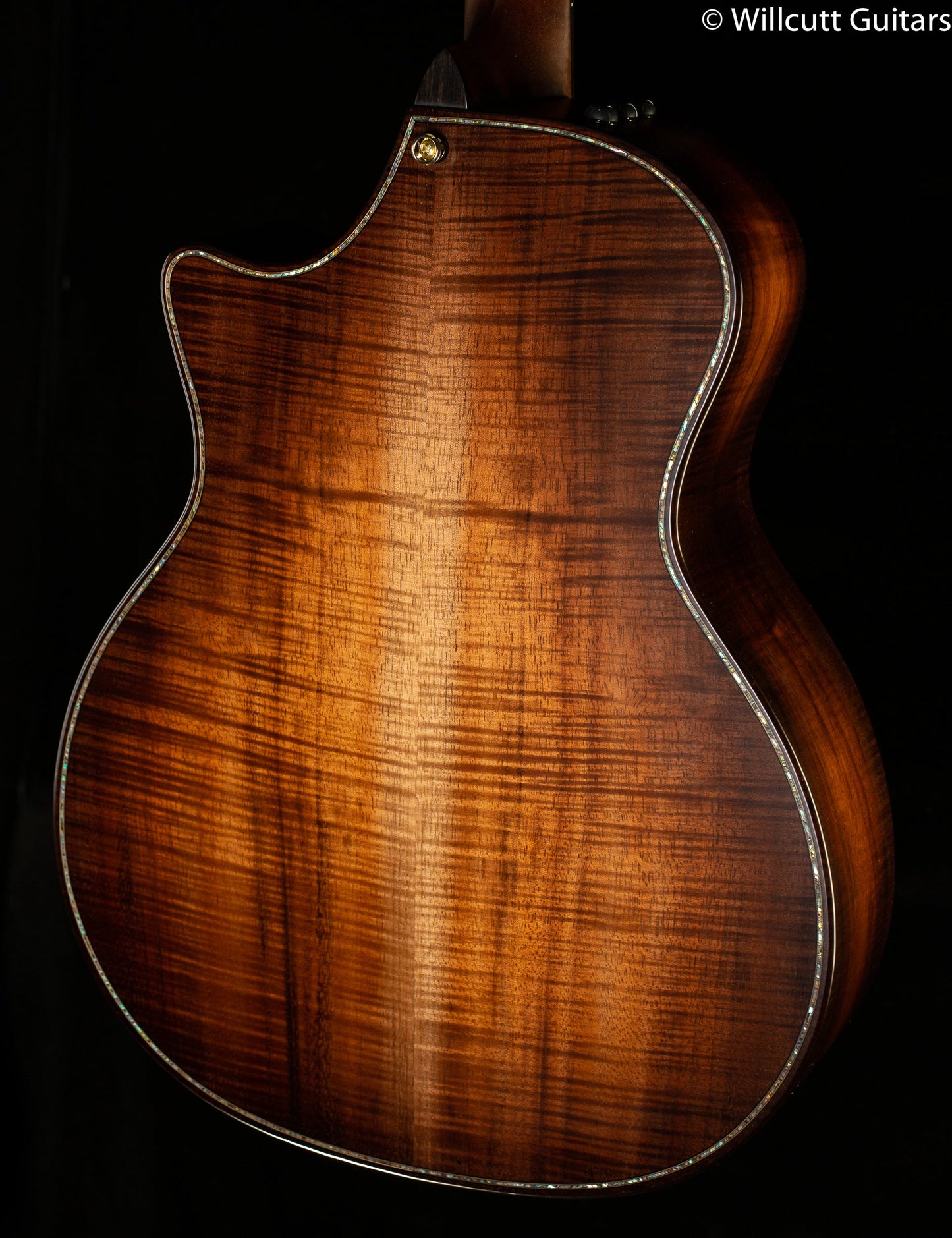 Taylor Builder's Edition K24ce (104)