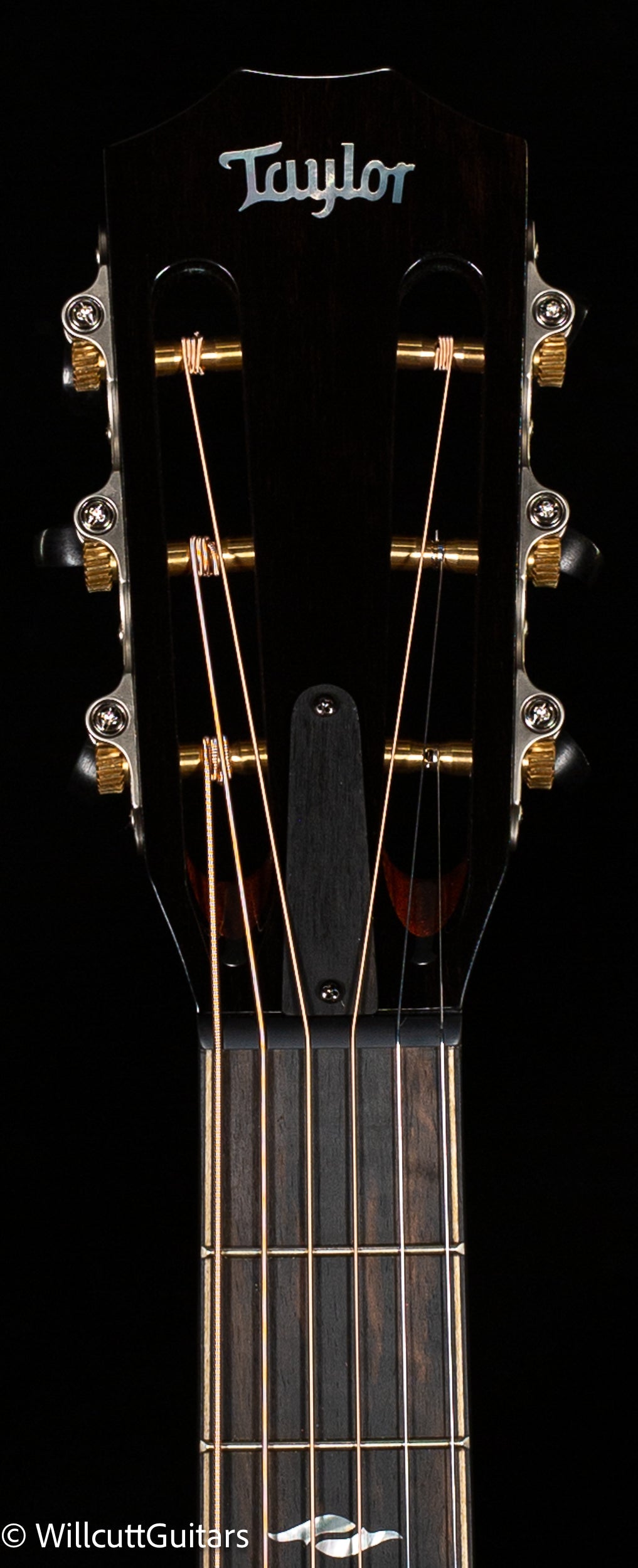 Taylor 812ce 12-Fret Grand Concert (098)