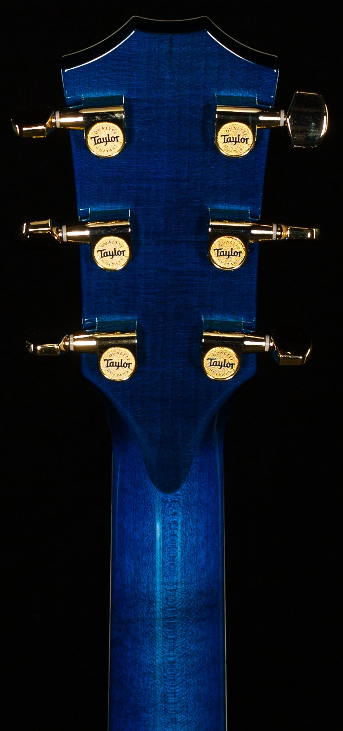 Taylor 2025 Custom #41 Koi C17e Acoustic-electric Guitar & Circa 74 Koi Amp Bundle, Living Jewel Blue (074)