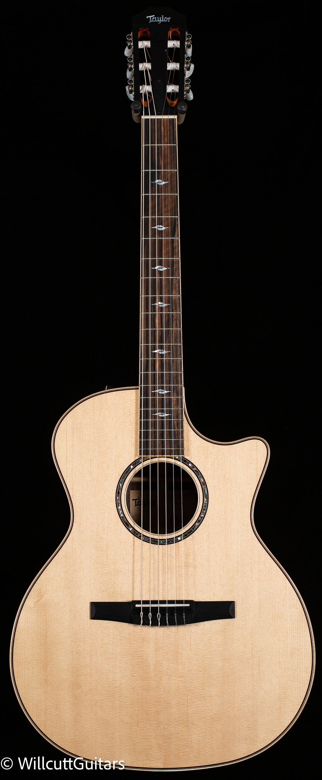 Taylor 814ce-N (061)