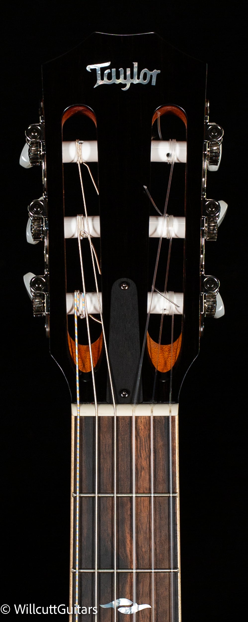 Taylor 814ce-N (061)