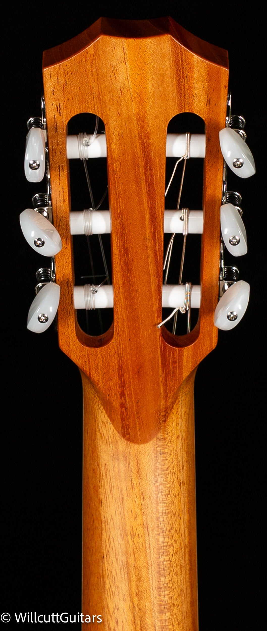 Taylor 814ce-N (061)