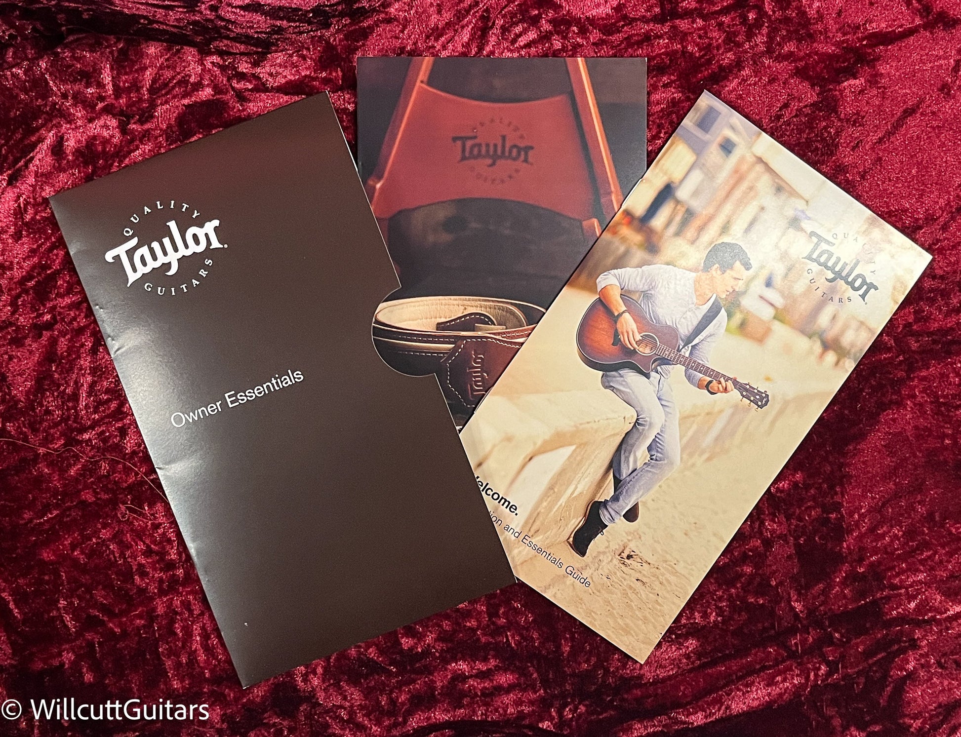 Taylor 814ce-N (061)