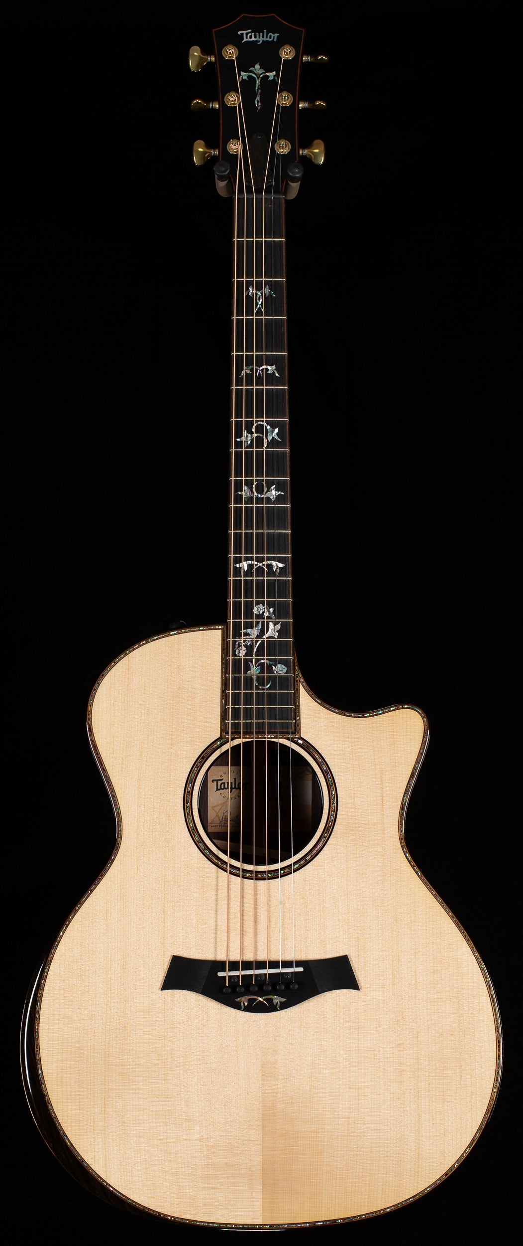 Taylor 914ce Special Edition Rosewood/Sitka Cindy Inlay (082)