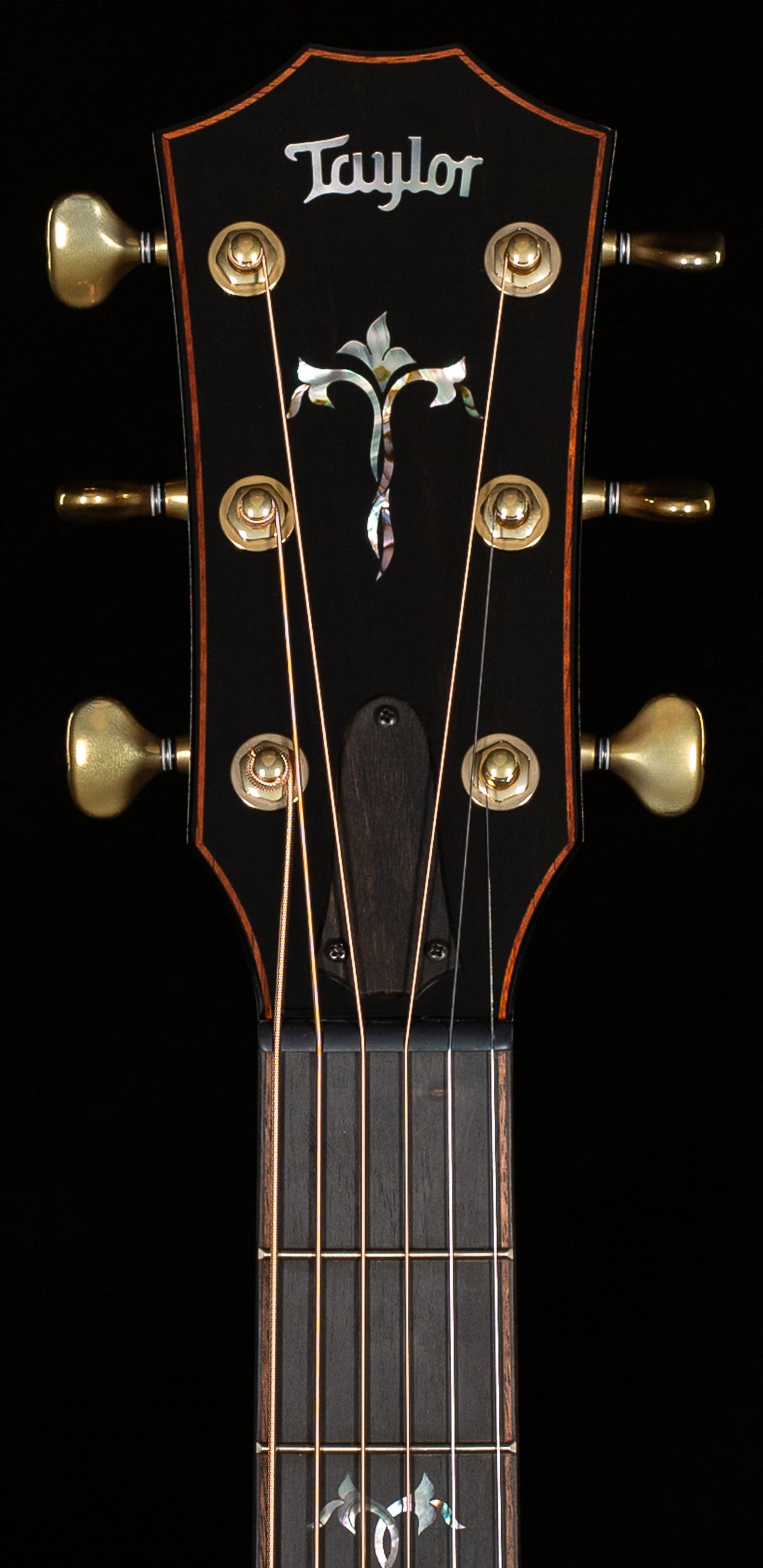 Taylor 914ce Special Edition Rosewood/Sitka Cindy Inlay (082)