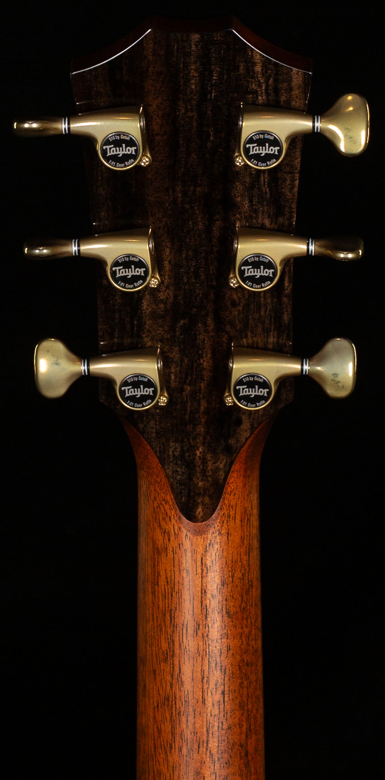 Taylor 914ce Special Edition Rosewood/Sitka Cindy Inlay (082)