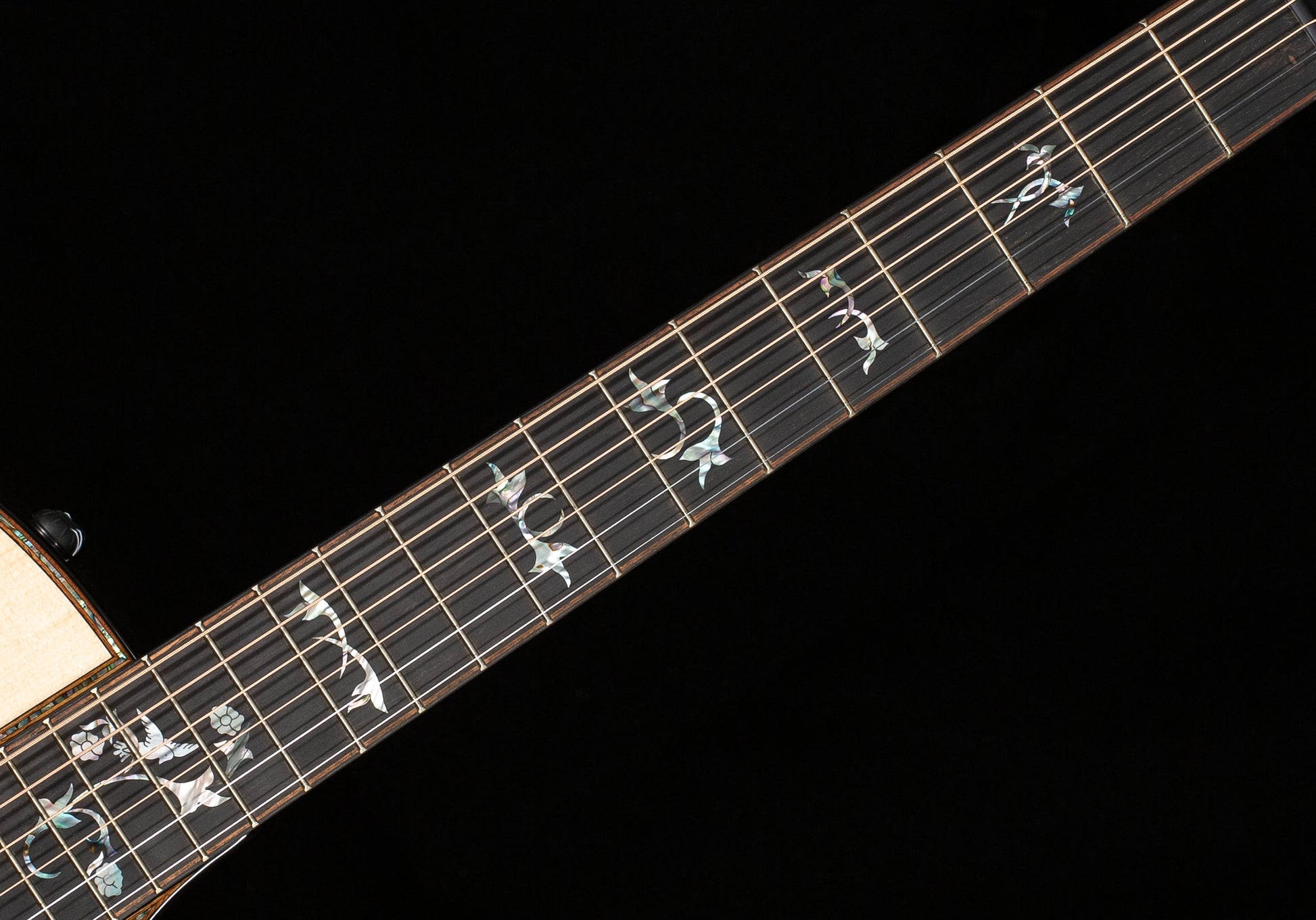 Taylor 914ce Special Edition Rosewood/Sitka Cindy Inlay (082)