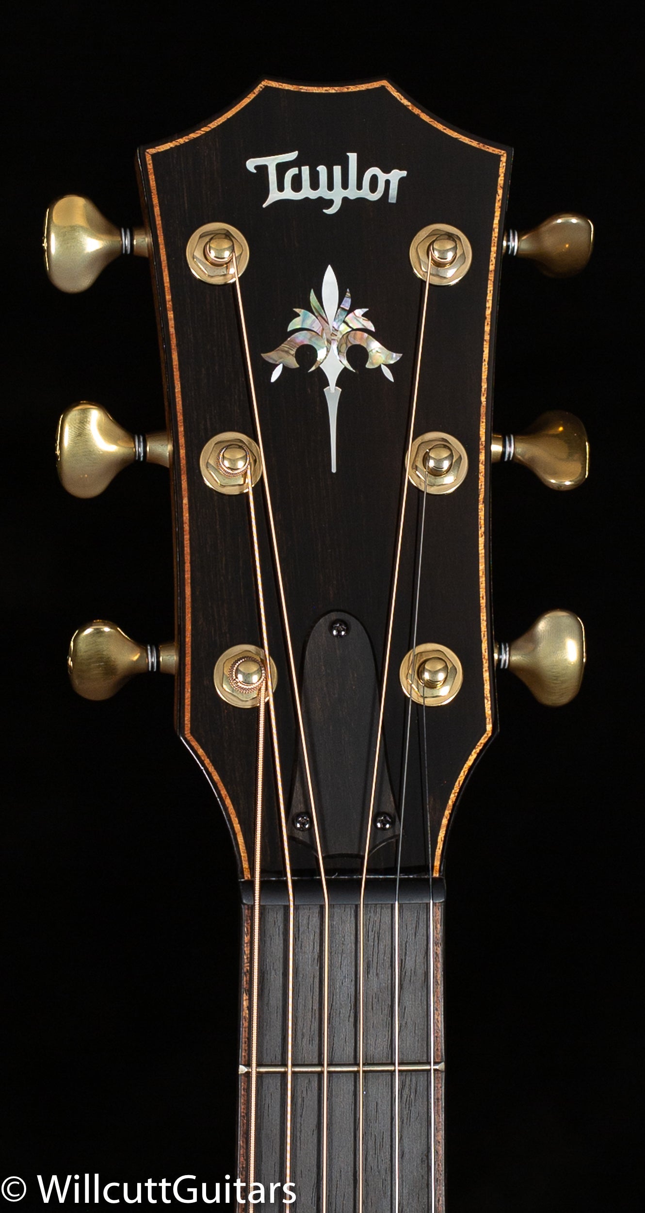 Taylor 914ce Grand Auditorium Sitka/Rosewood (120)