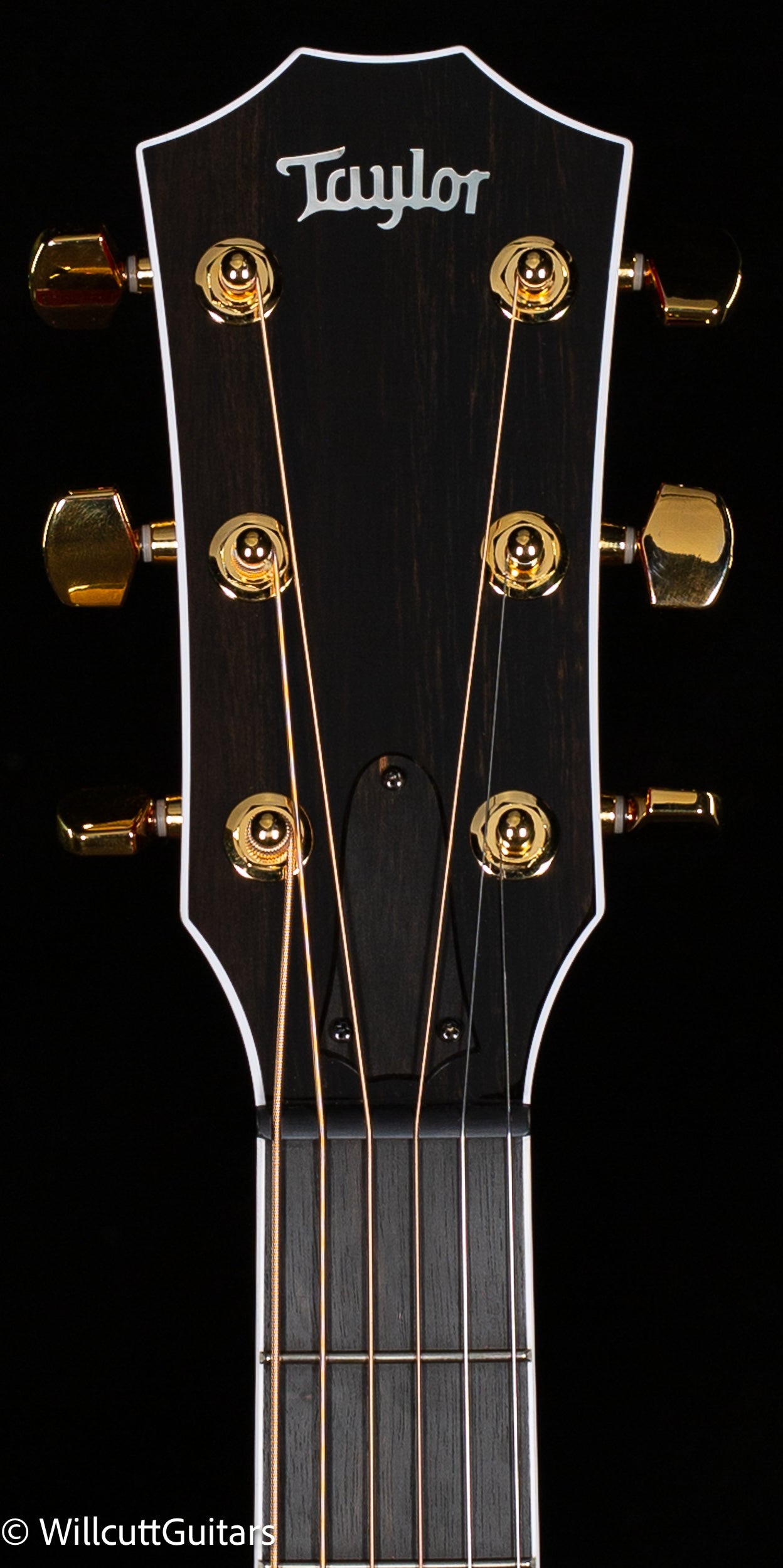 Taylor 614ce Special Edition Trans Red (071)