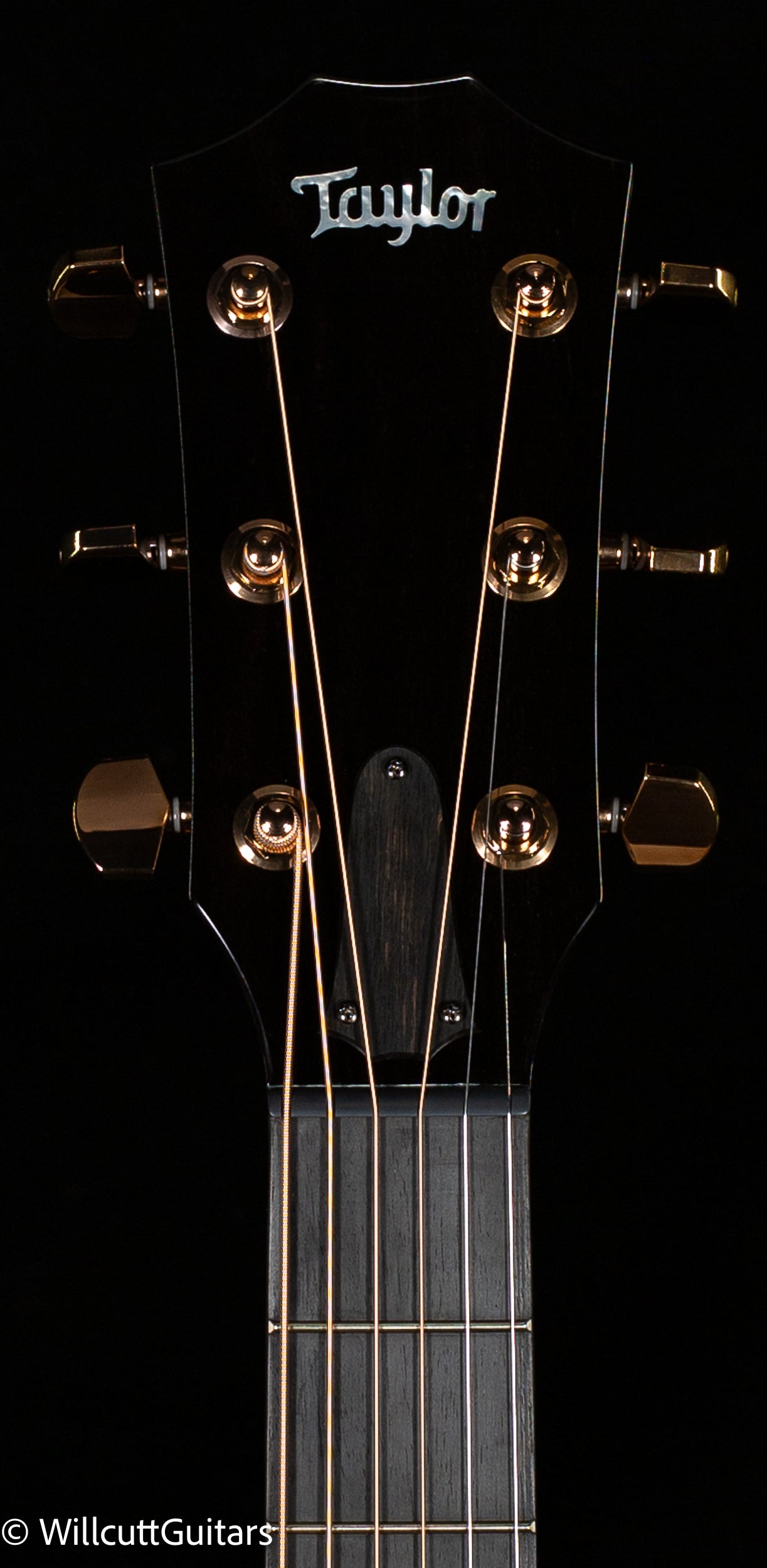 Taylor Custom GA Flame Maple Lutz Spruce Custom #22 (124)