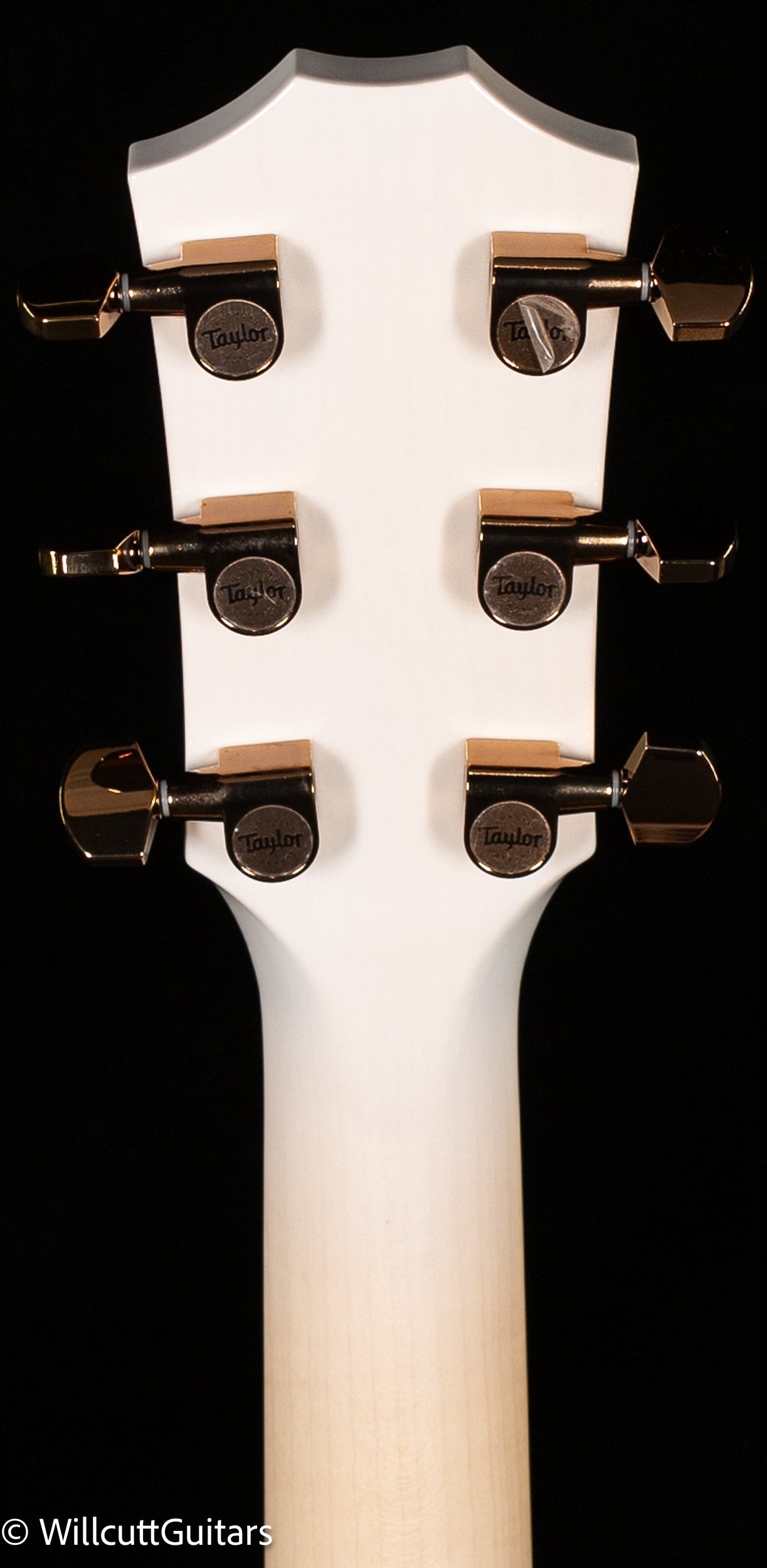 Taylor Custom GA Flame Maple Lutz Spruce Custom #22 (124)