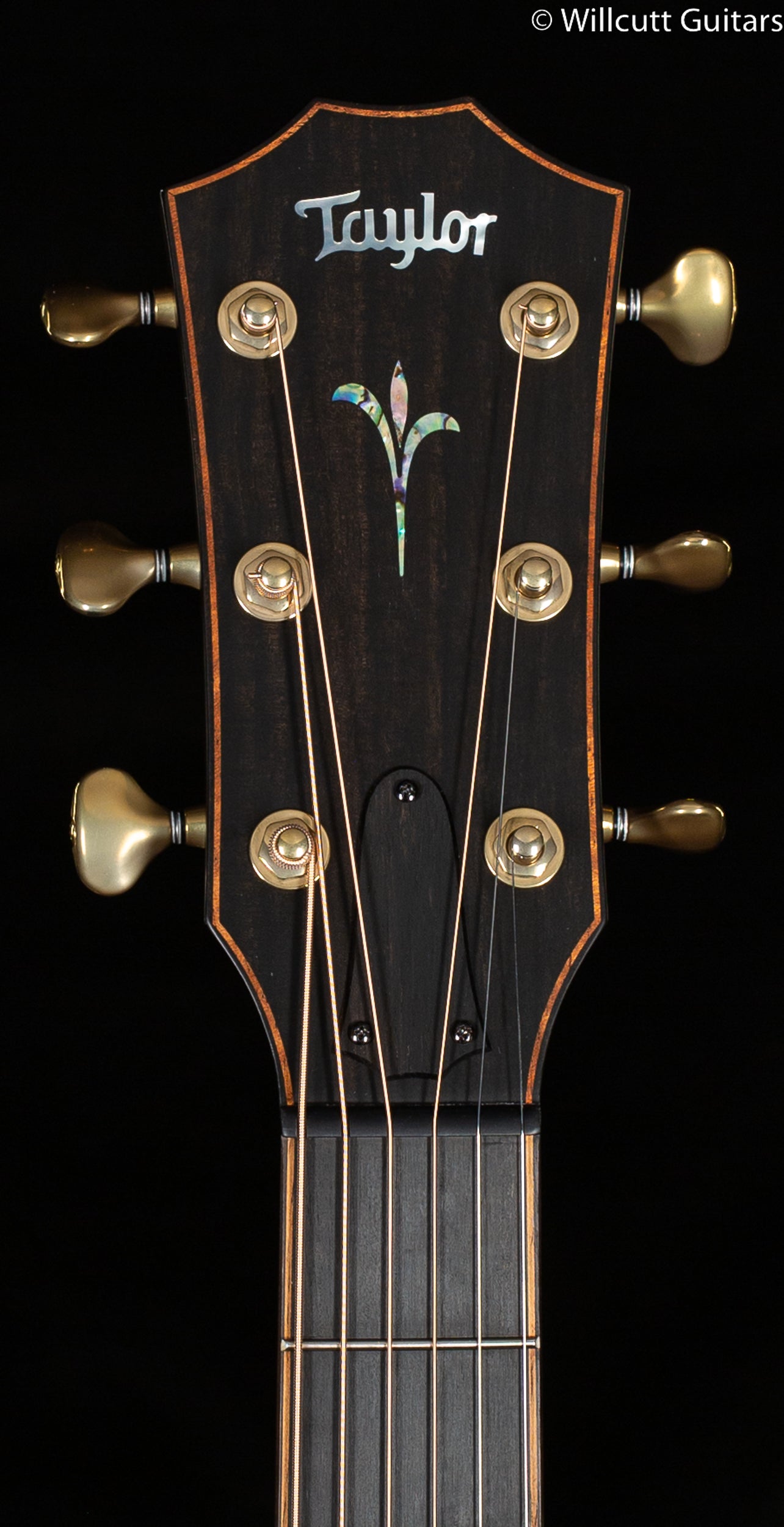 Taylor Builder's Edition K14ce Grand Auditorium Koa (035)