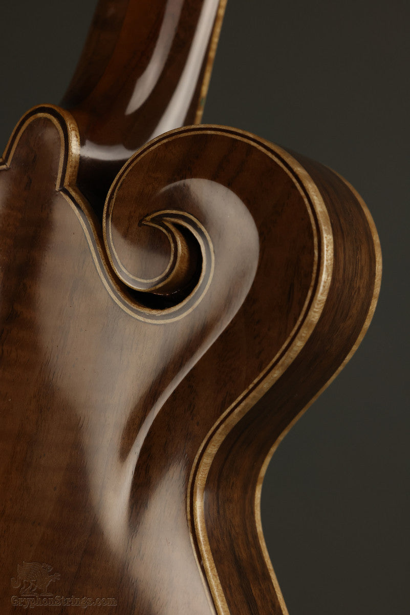 David Cohen F5 Style Walnut Mandolin New