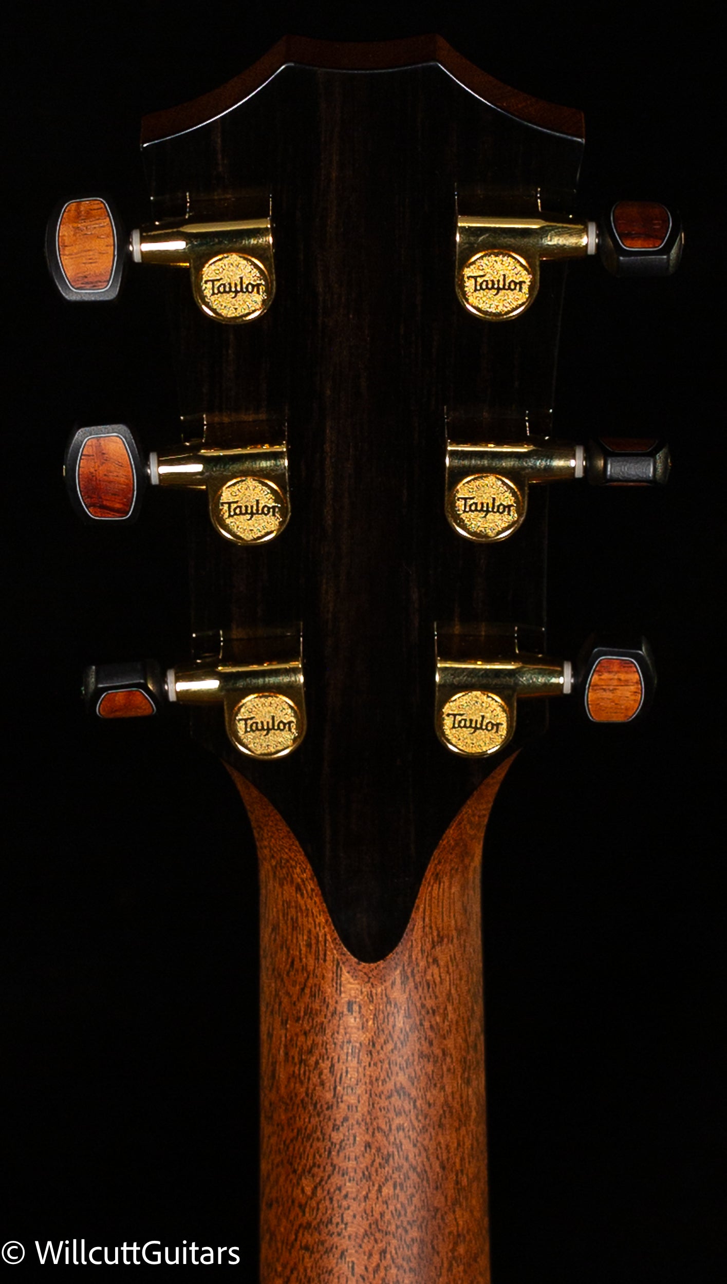 2023 Taylor Custom GS Master Koa Lutz Spruce Custom #30 (118)