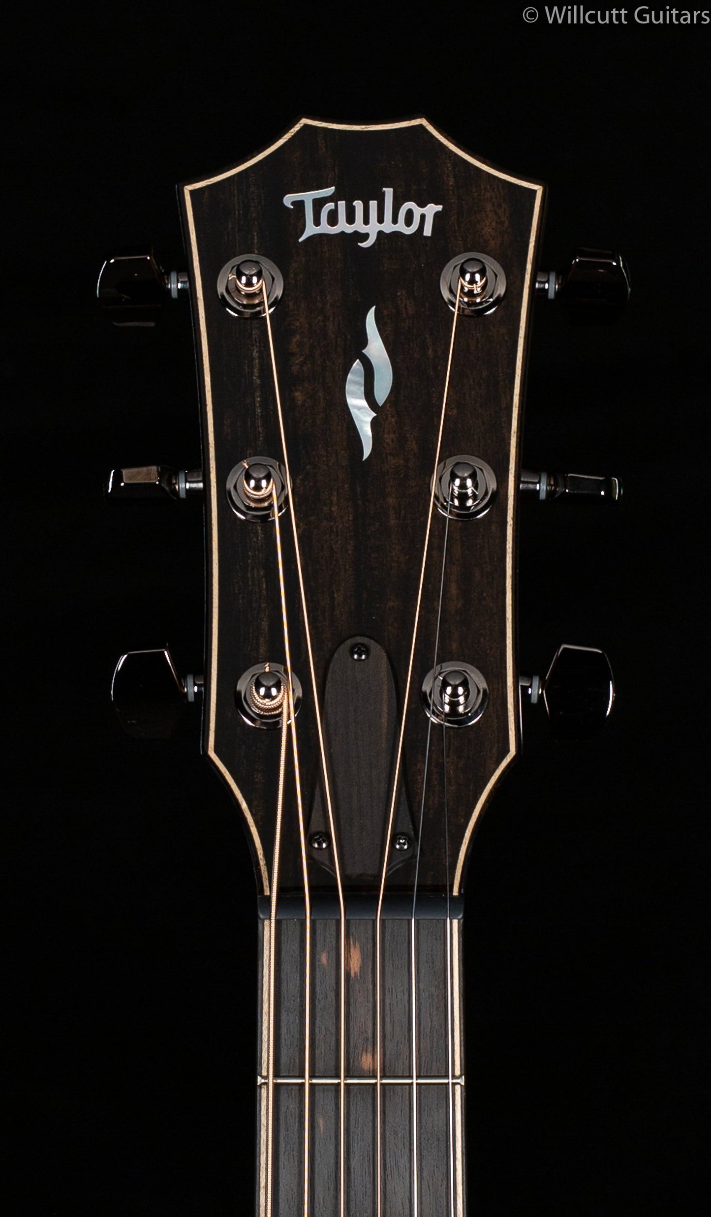 Taylor 812ce V-Class Bracing