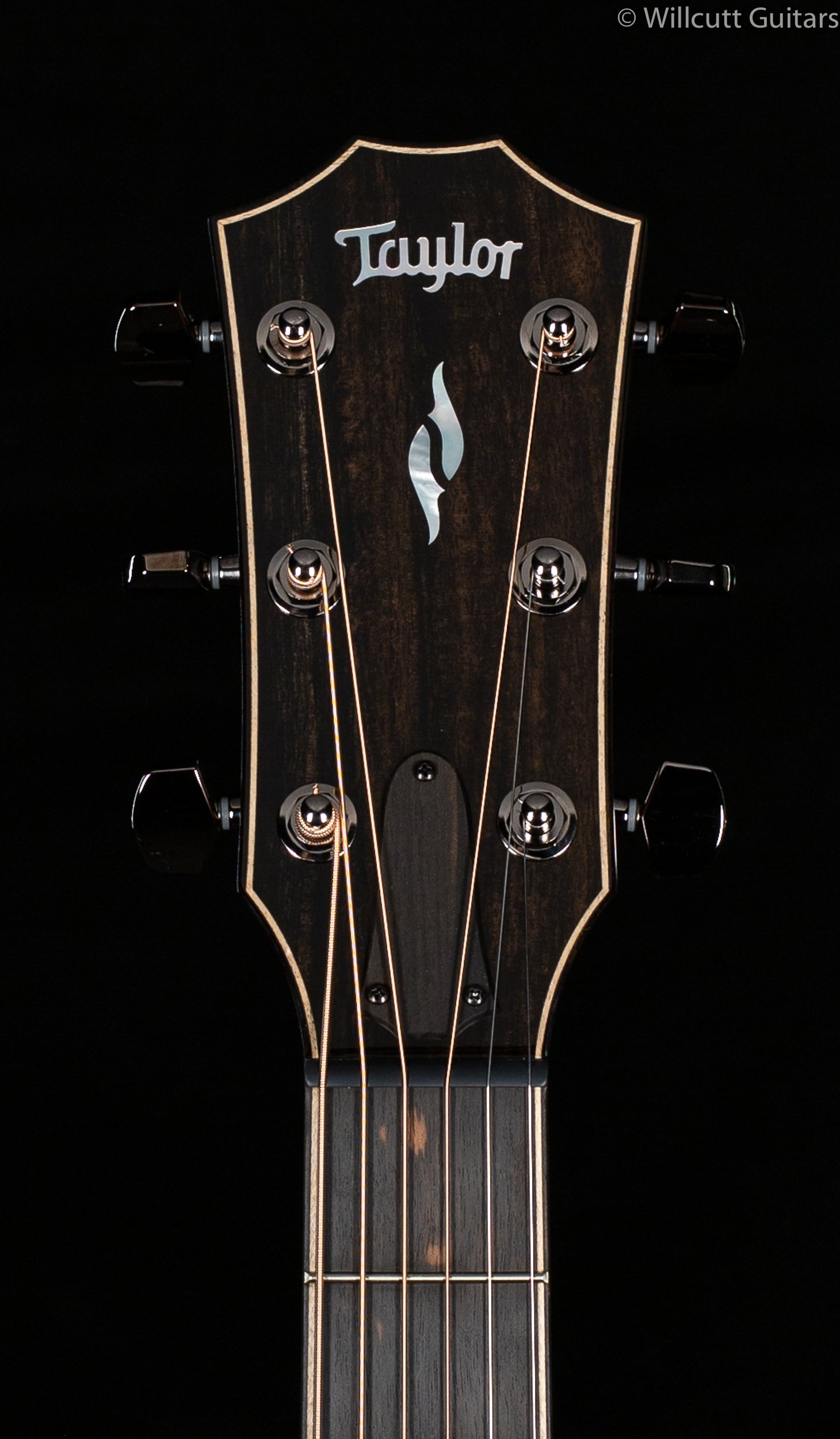 Taylor 812ce V-Class Bracing