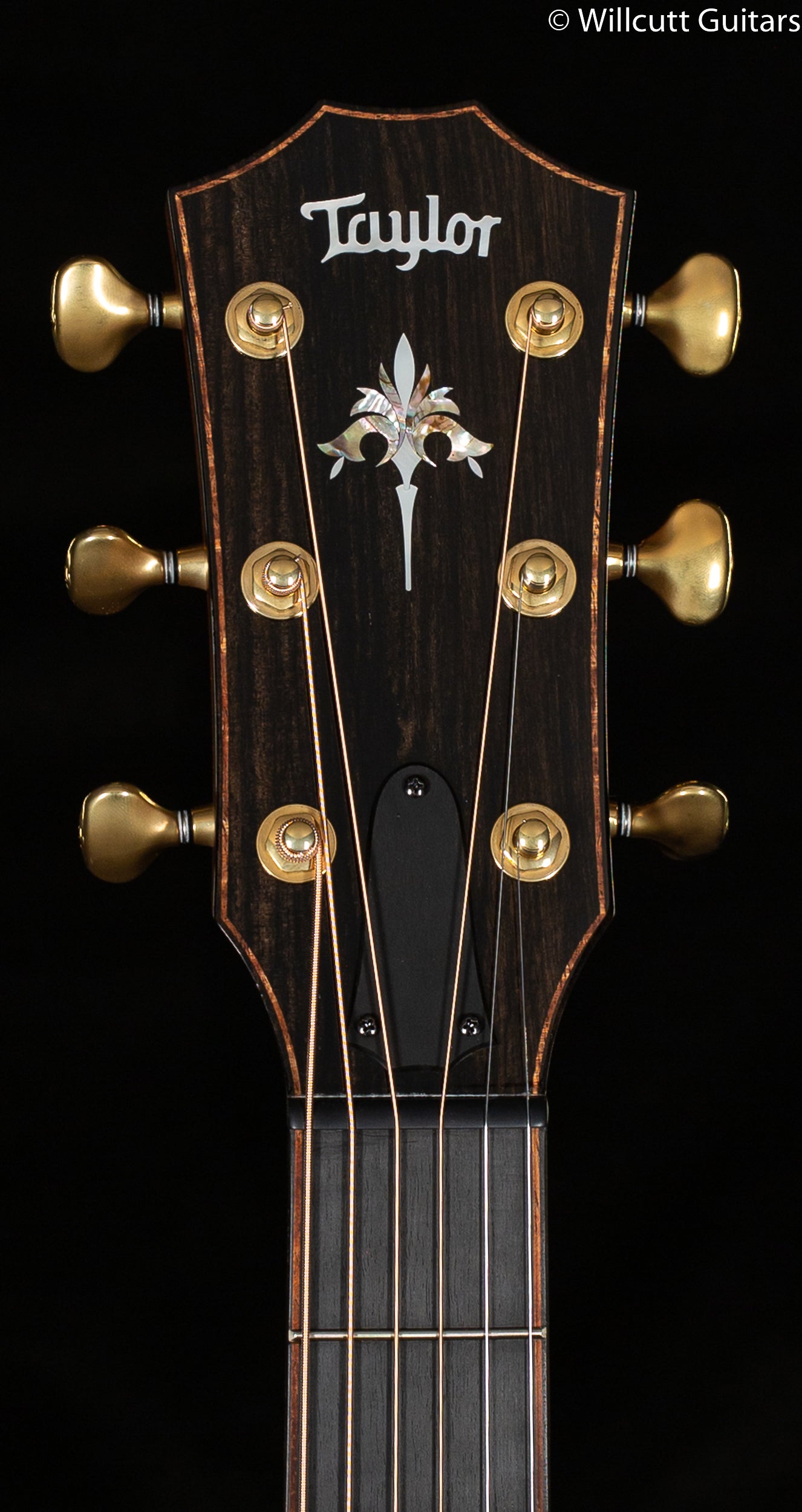 2022 Taylor 914ce-SB Sunburst Sitka/Rosewood (080)