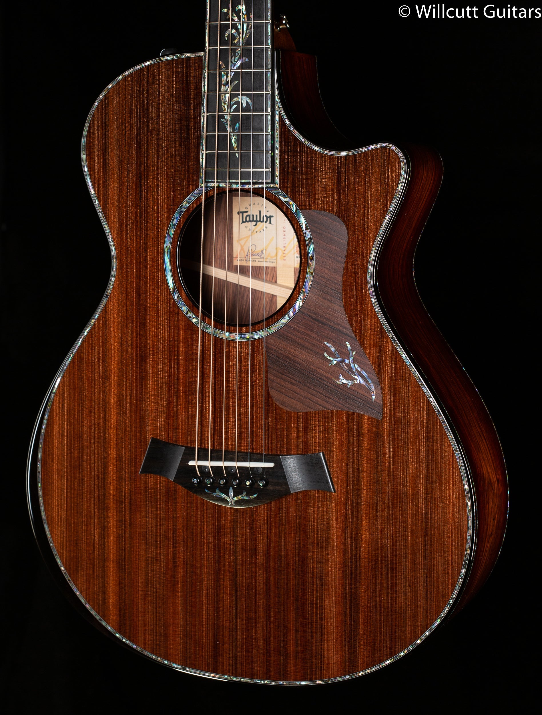 Taylor PS12ce 12-Fret Grand Concert Honduran Rosewood/Sinker Redwood (157)