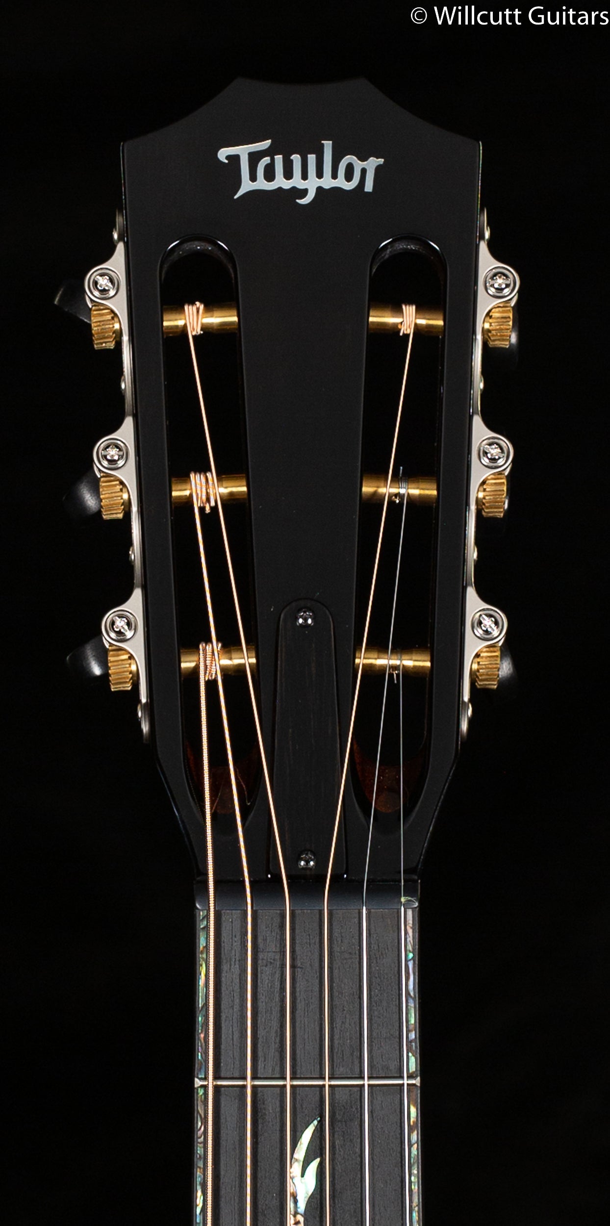 Taylor PS12ce 12-Fret Grand Concert Honduran Rosewood/Sinker Redwood (157)