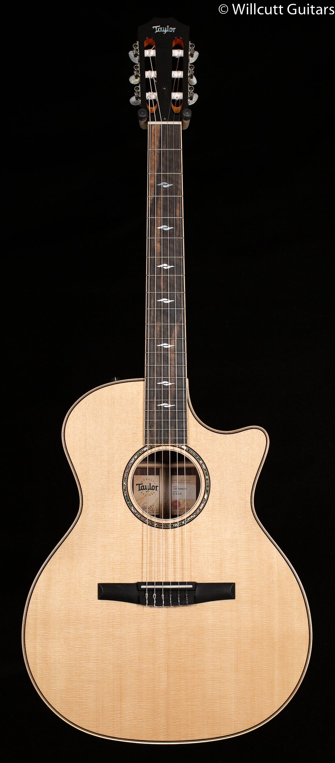 Taylor 814ce-N Nylon (030)