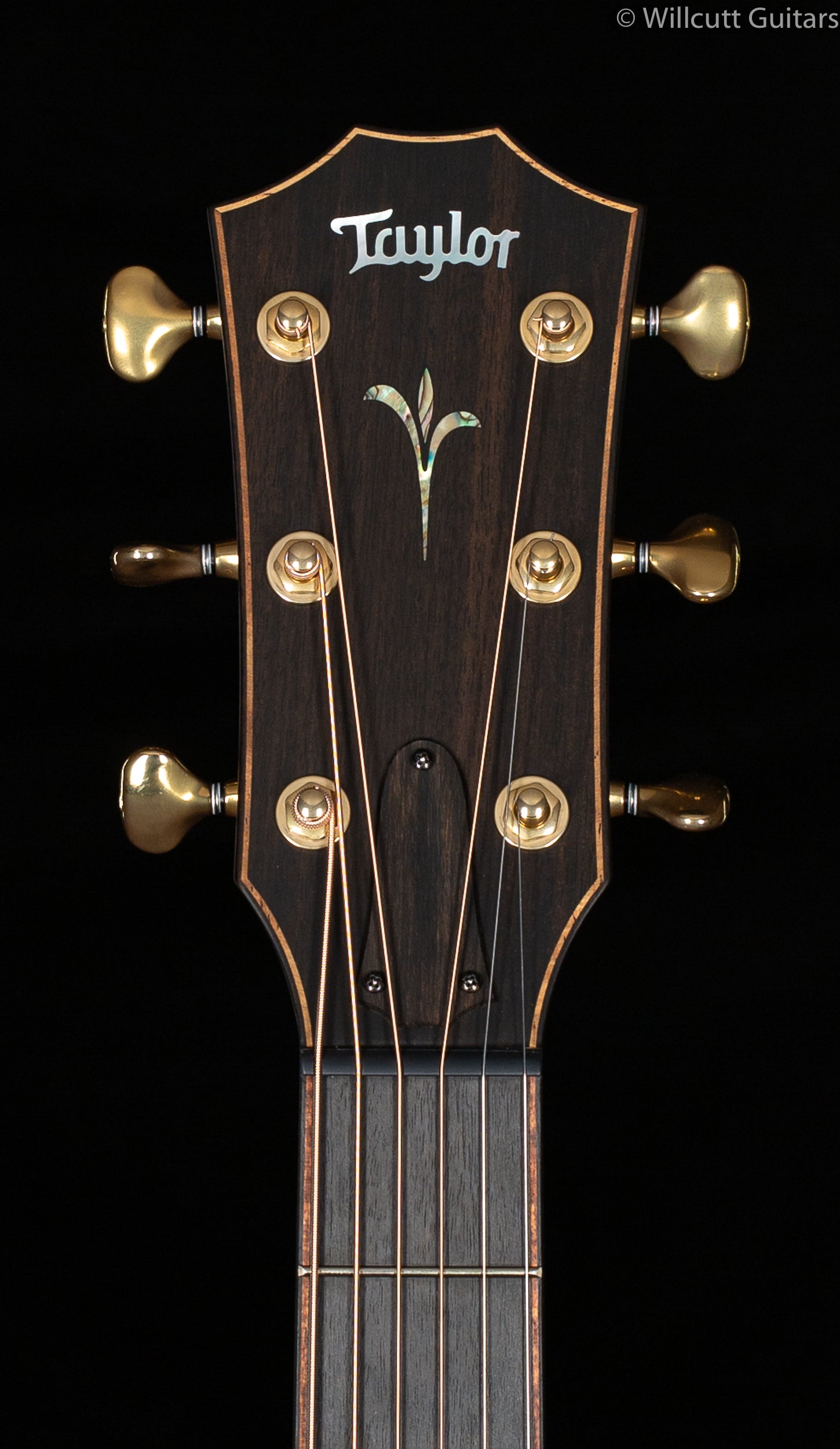 Taylor Builder's Edition K14ce V-Class Bracing