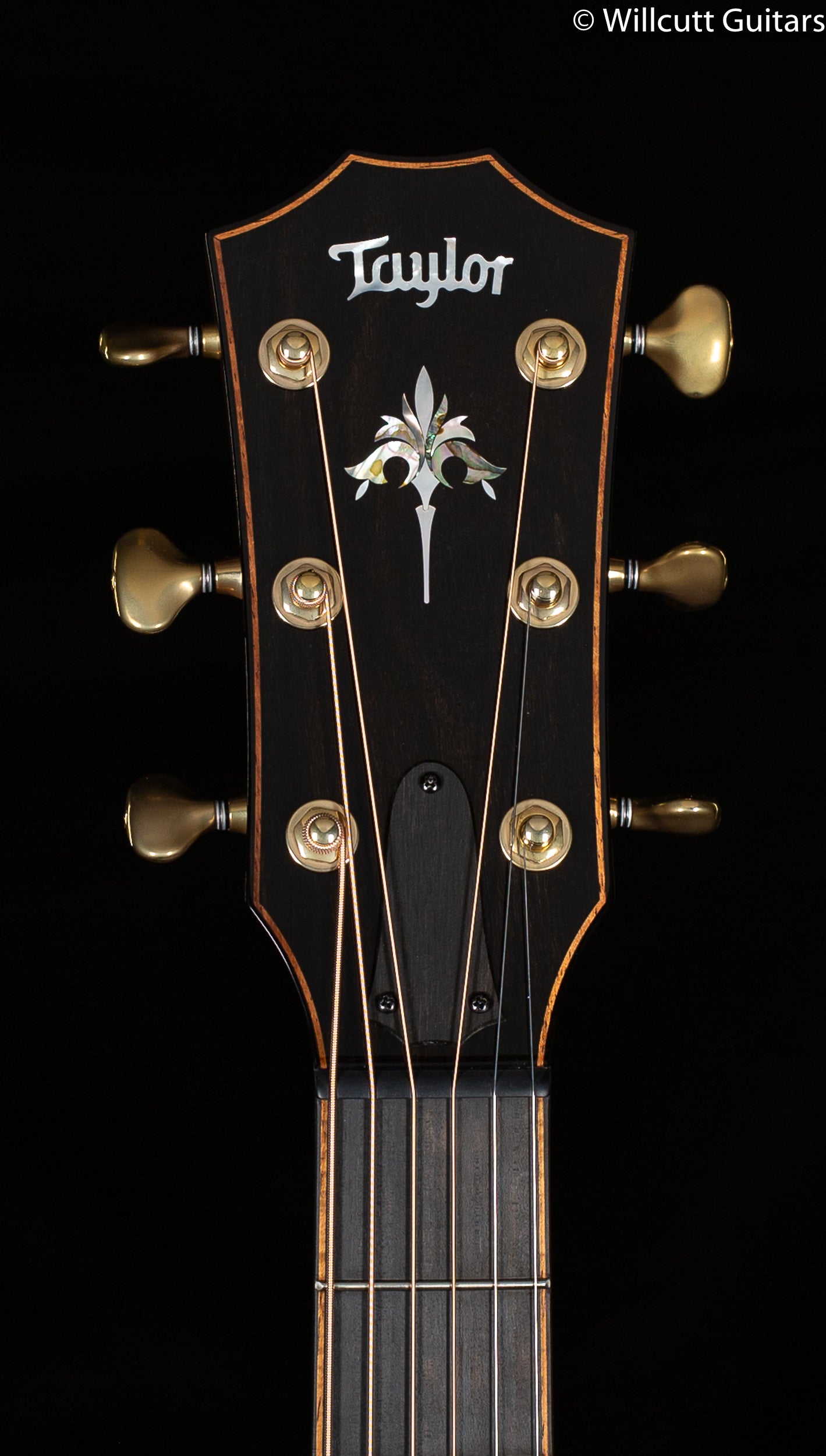 Taylor 914ce V-Class Bracing