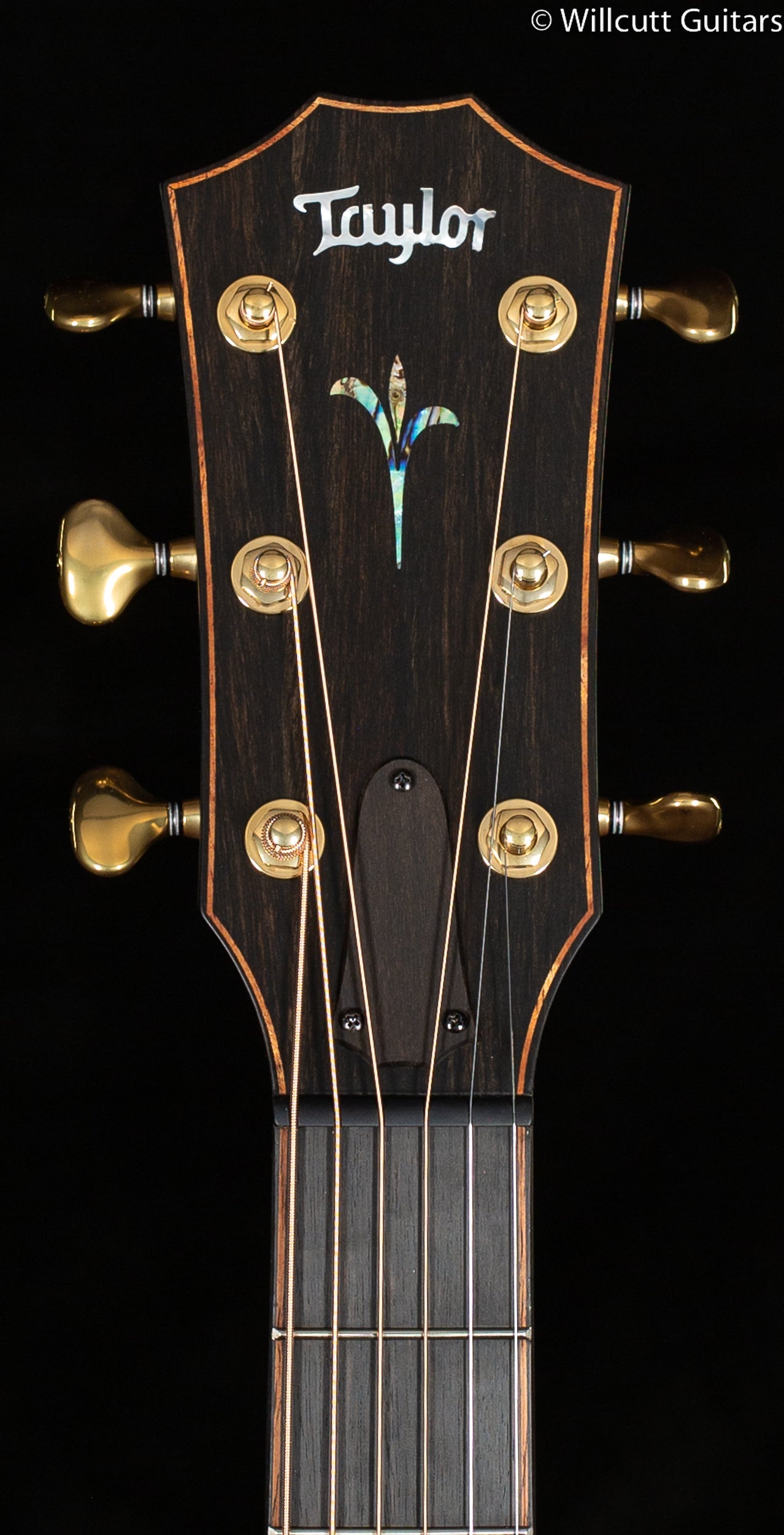 Taylor Builder's Edition K24ce Grand Auditorium (144)