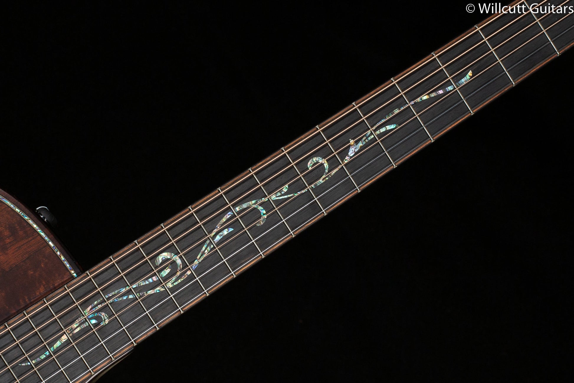Taylor Builder's Edition K24ce Grand Auditorium (144)