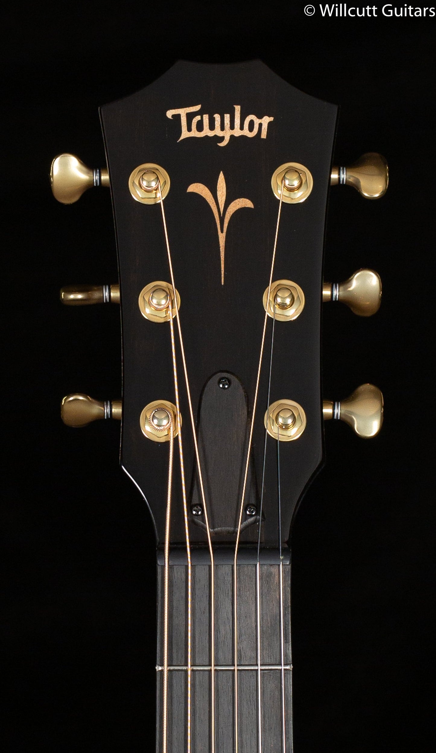 Taylor GT K21e Koa
