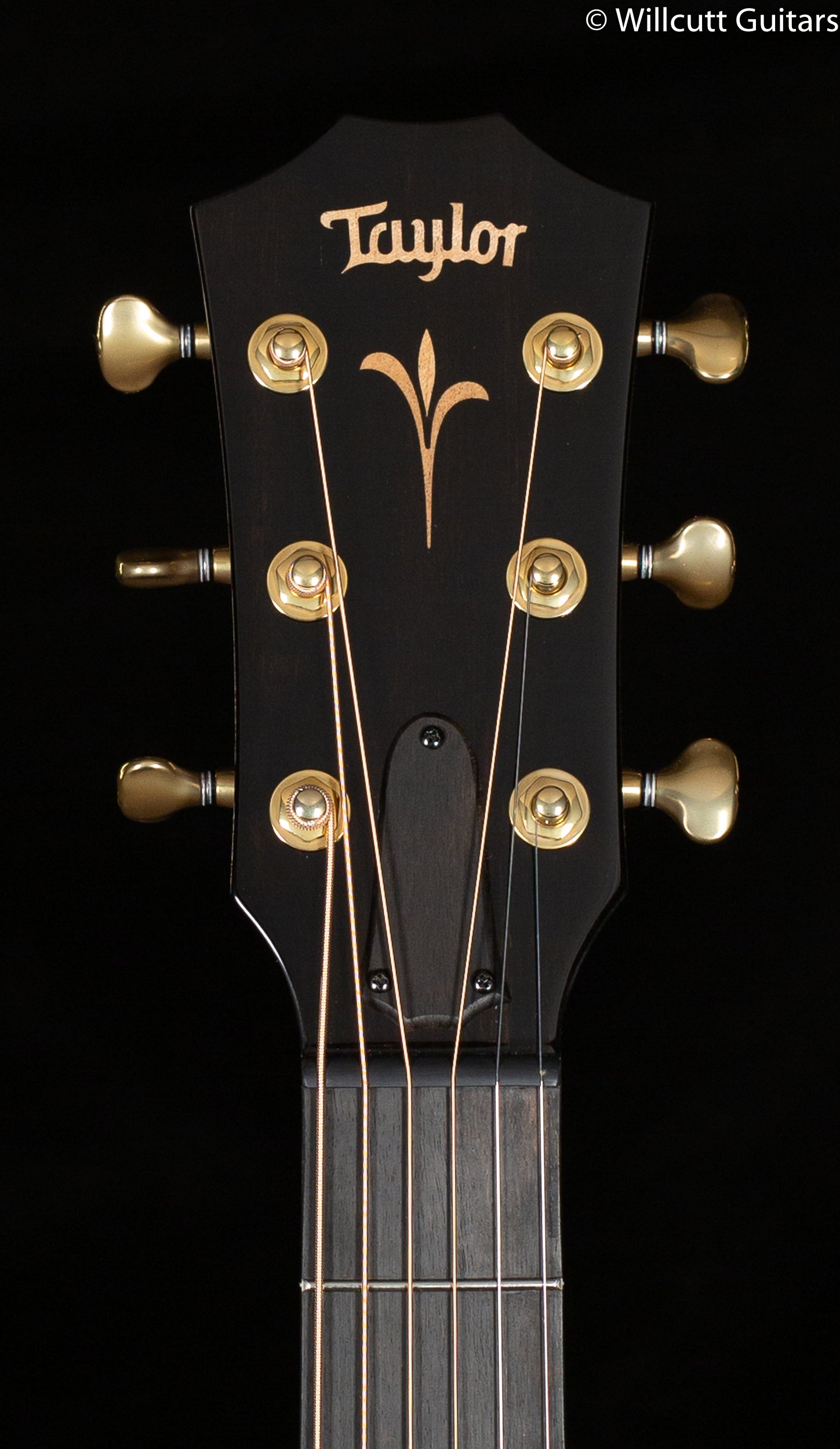 Taylor GT K21e Koa
