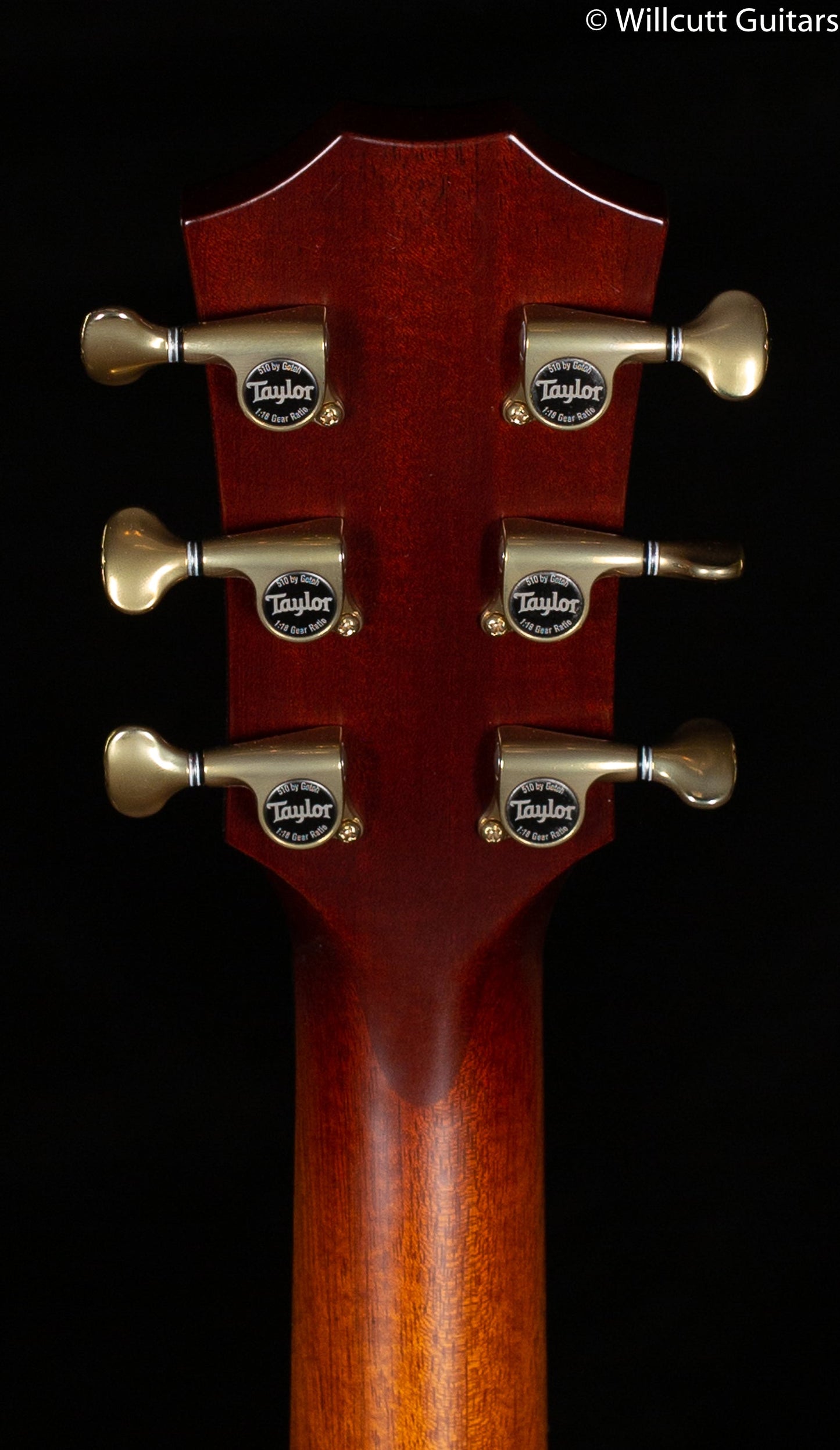 Taylor GT K21e Koa