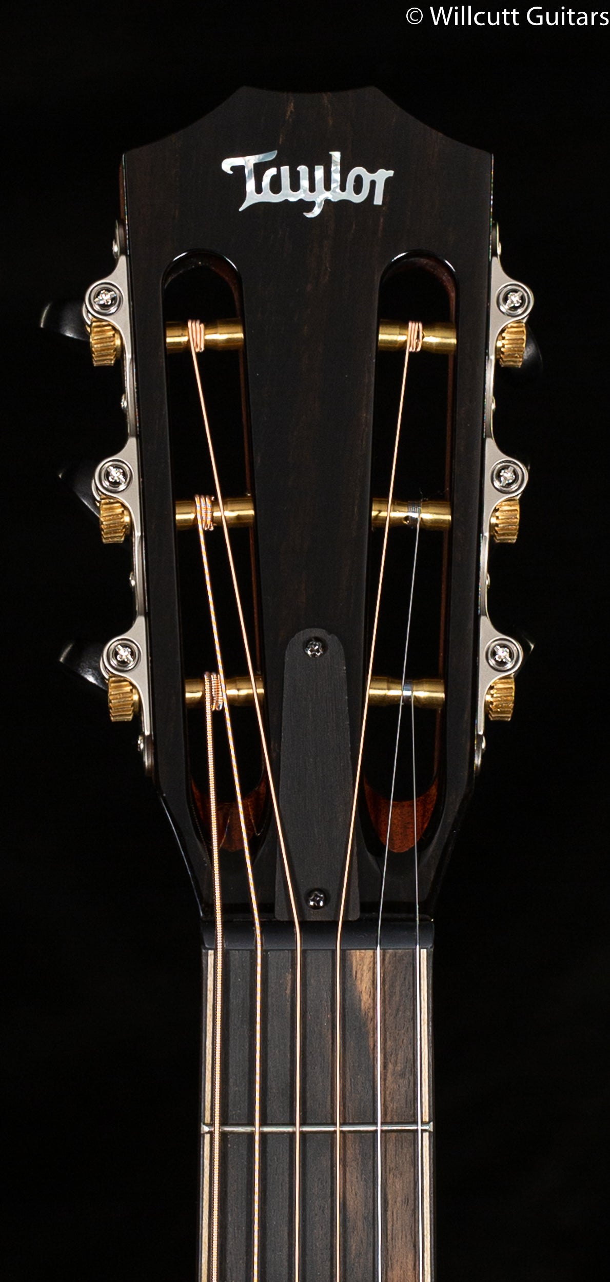 Taylor 812ce 12-Fret Sitka/Rosewood (136)