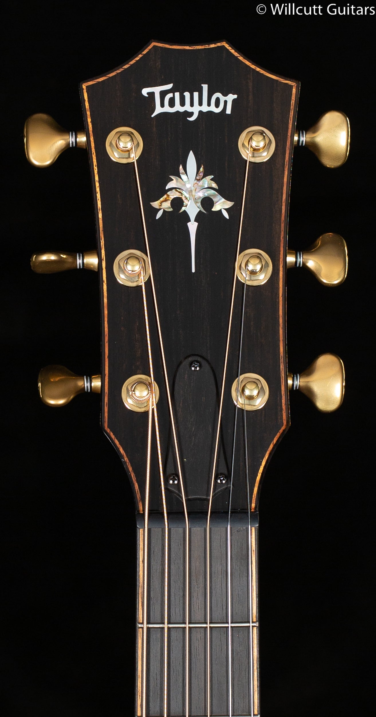 Taylor 914ce LTD Koa(AA)/Redwood (166)