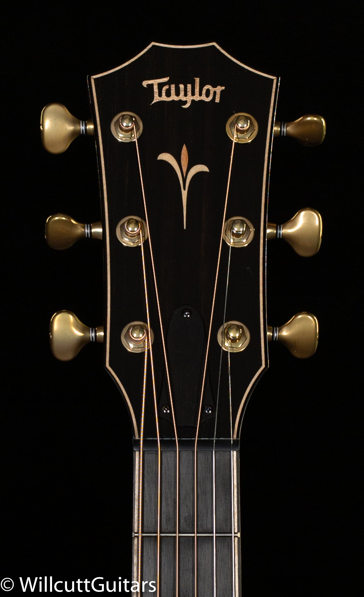 2022 Taylor K22ce V-Class Bracing (073)
