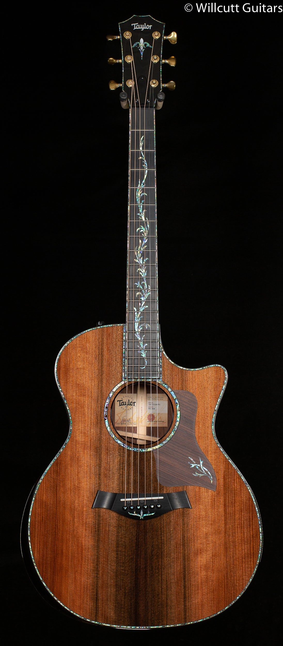 Taylor PS14ce Grand Auditorium Honduran Rosewood/Sinker Redwood (070)