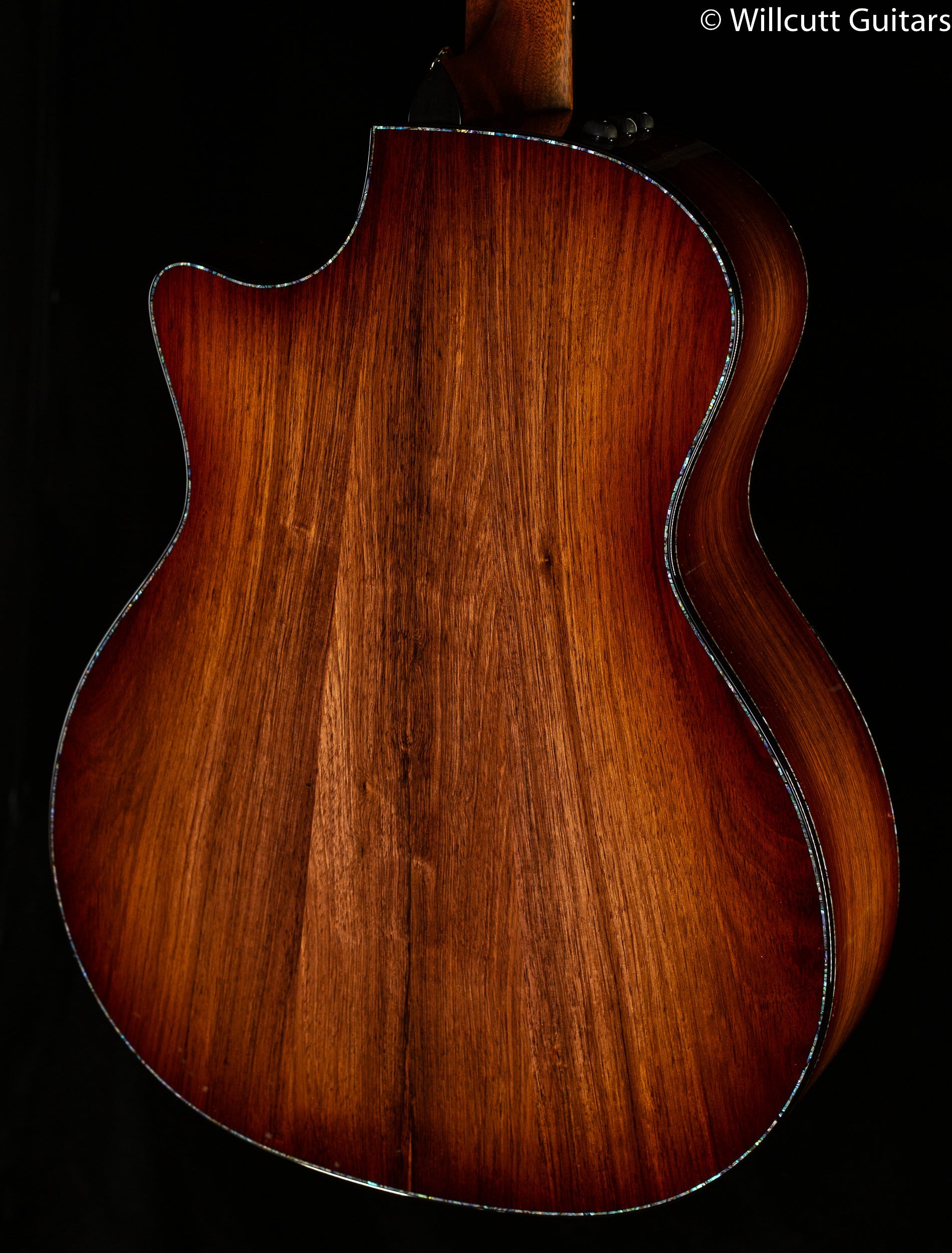 Taylor PS14ce Grand Auditorium Honduran Rosewood/Sinker Redwood (070)