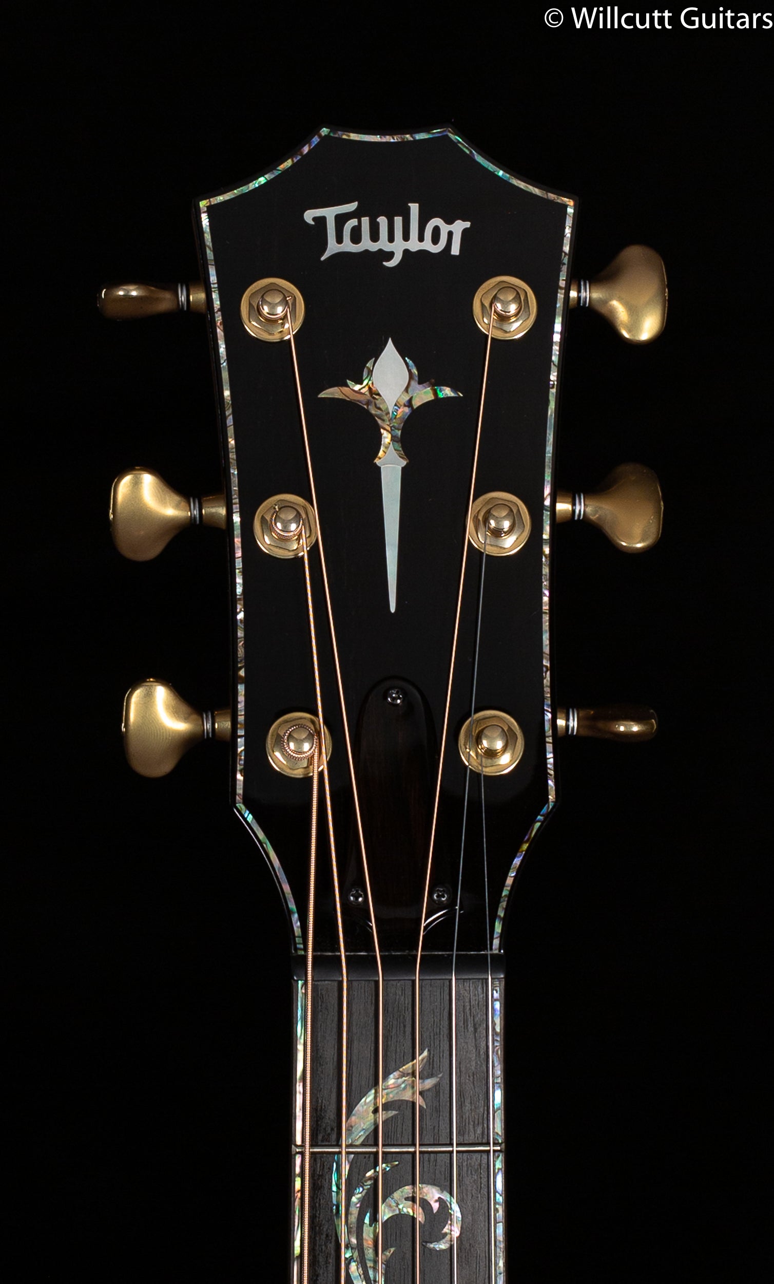 Taylor PS14ce LTD