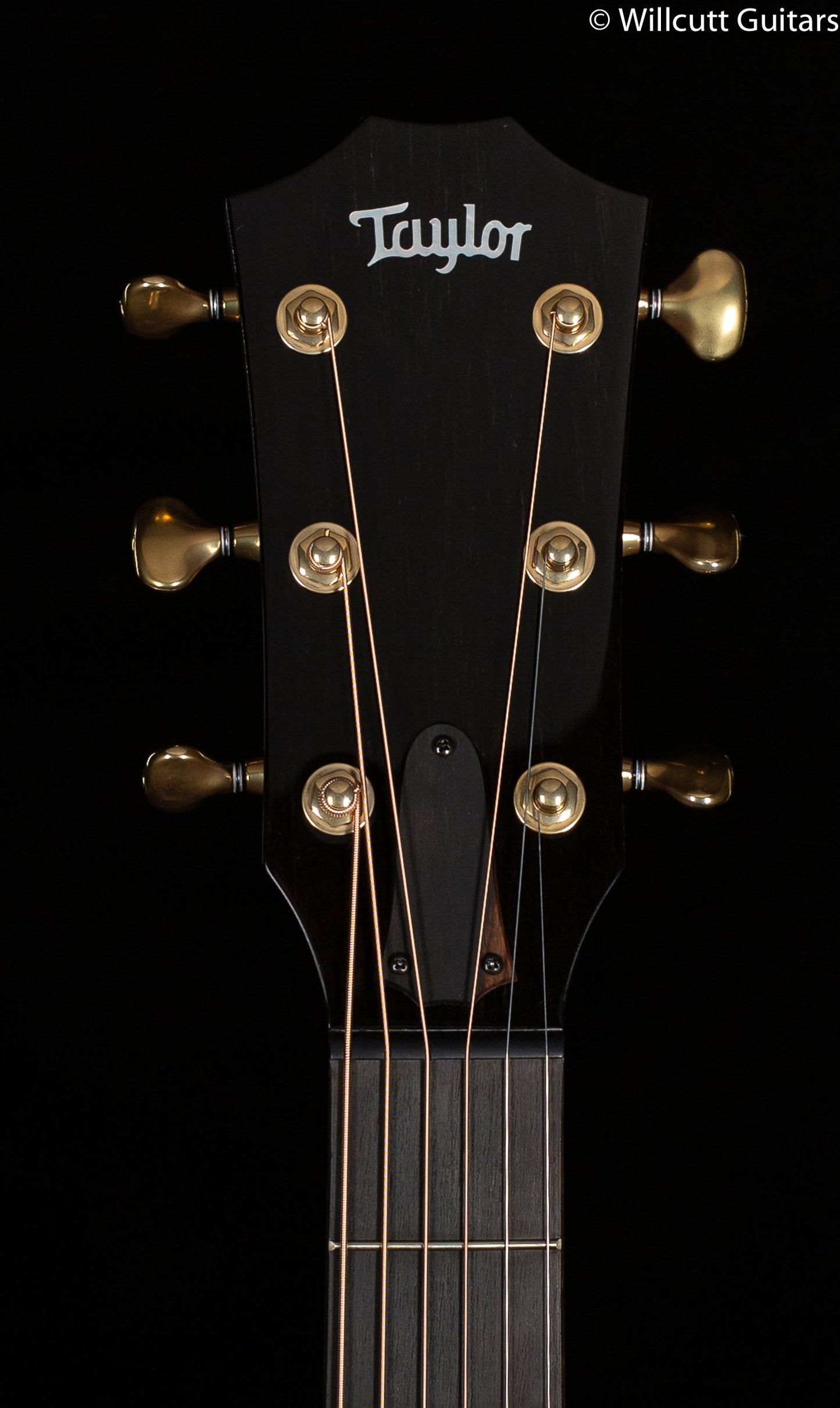 Taylor Custom GA Quilted Sapele Engelmann Bearclaw