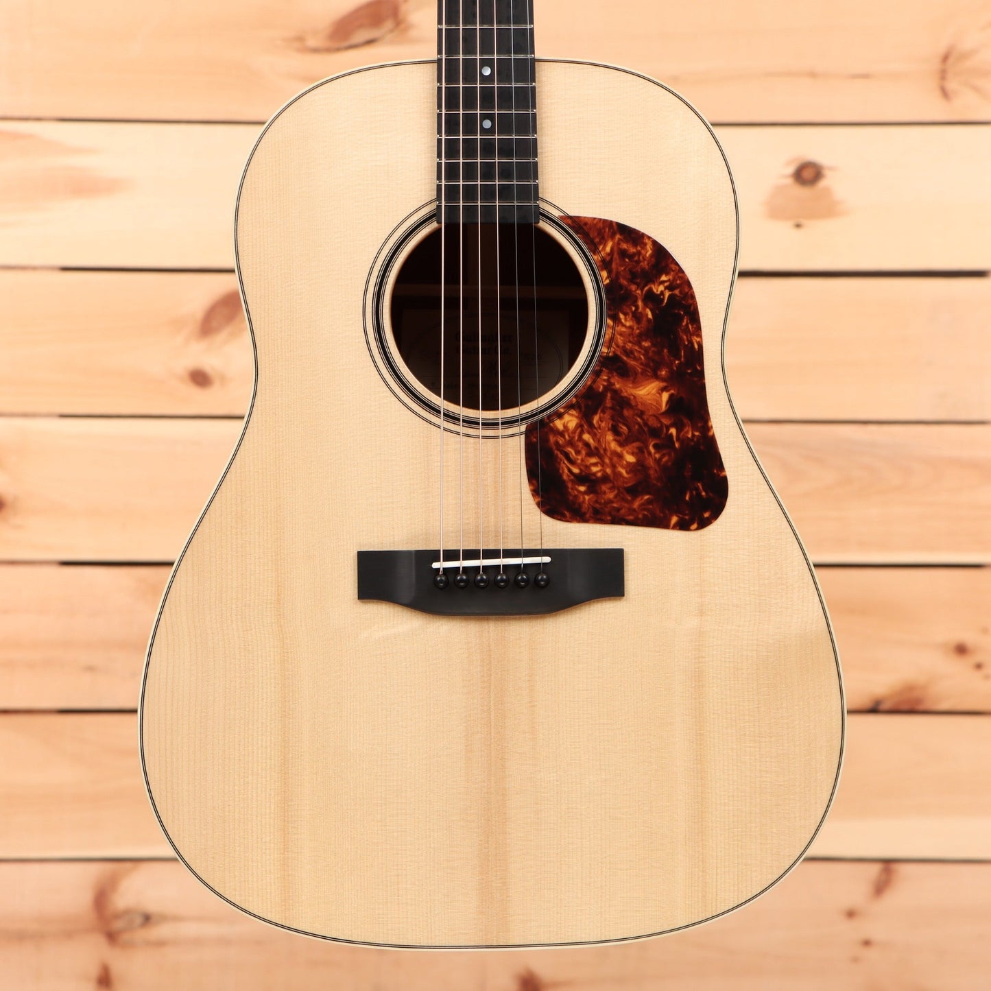 Gallagher SG-50 - Natural